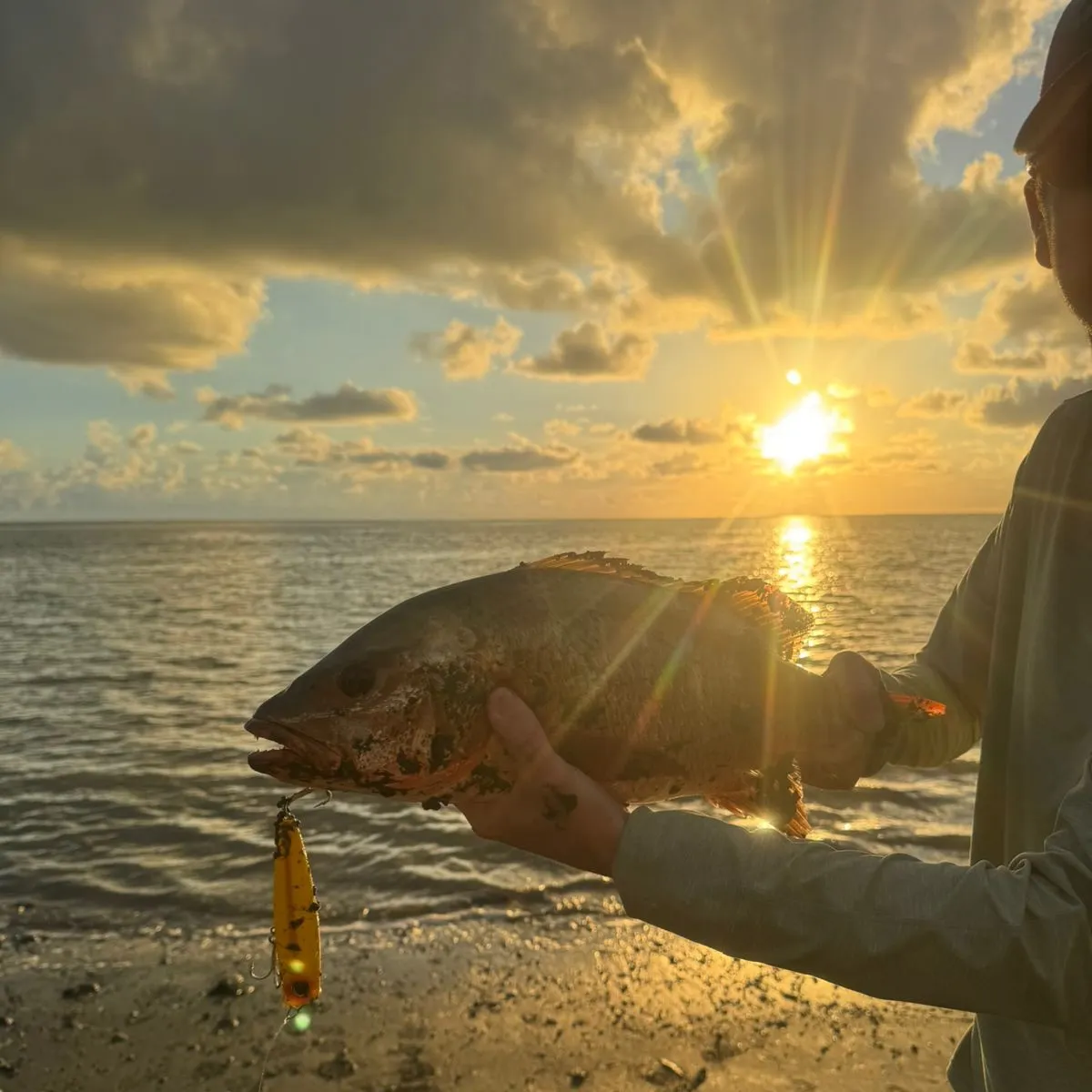 The most recent Cubera snapper catches on Fishbrain