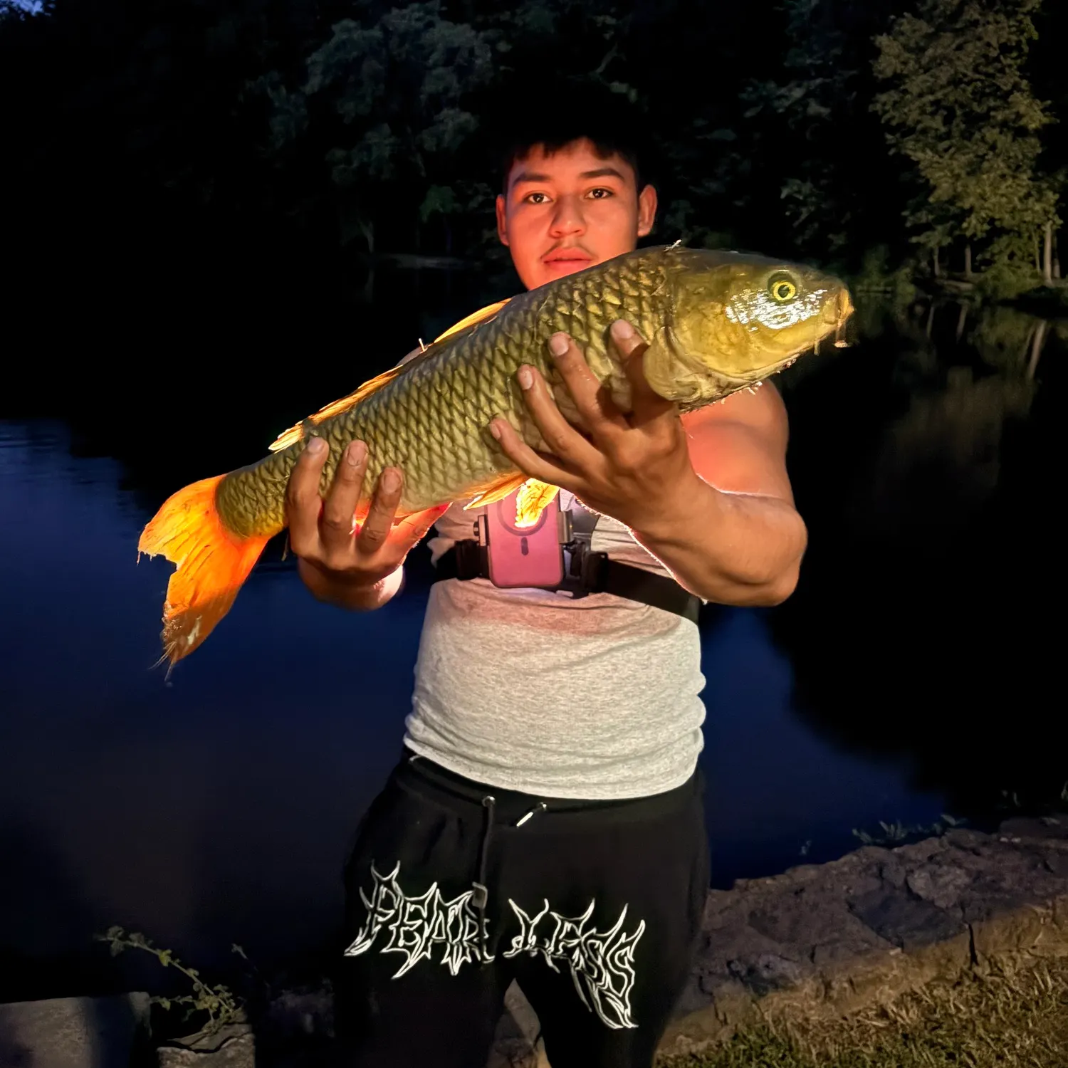 Grass carp caught on Fishbrain