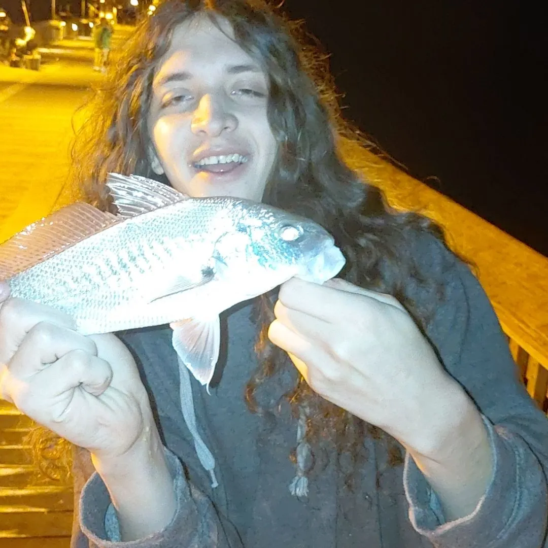 Atlantic croaker caught on Fishbrain