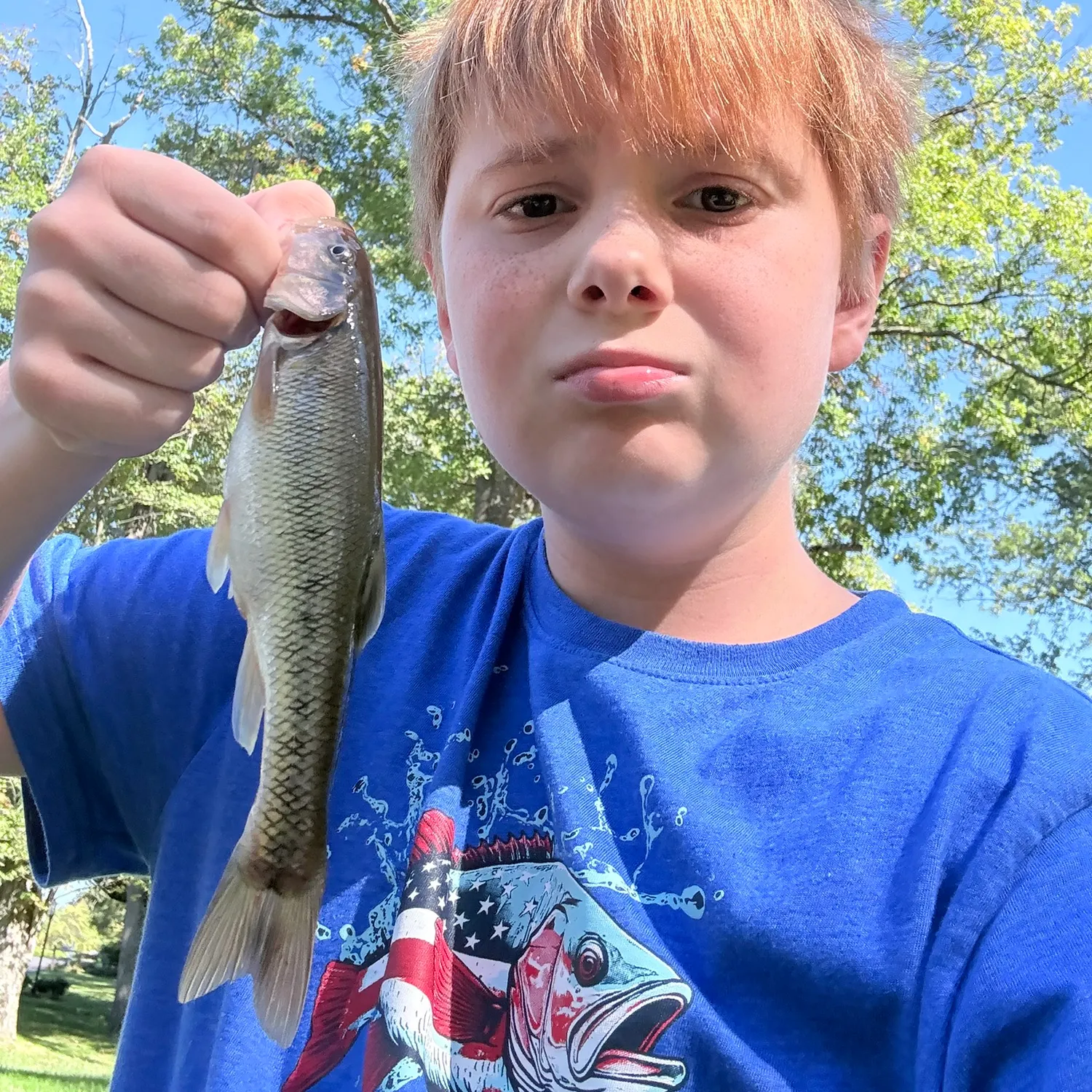 Creek chub caught on Fishbrain