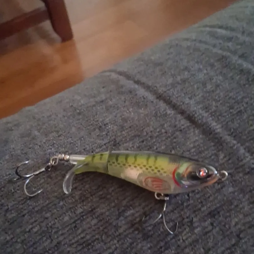 The most recent Common logperch catches on Fishbrain