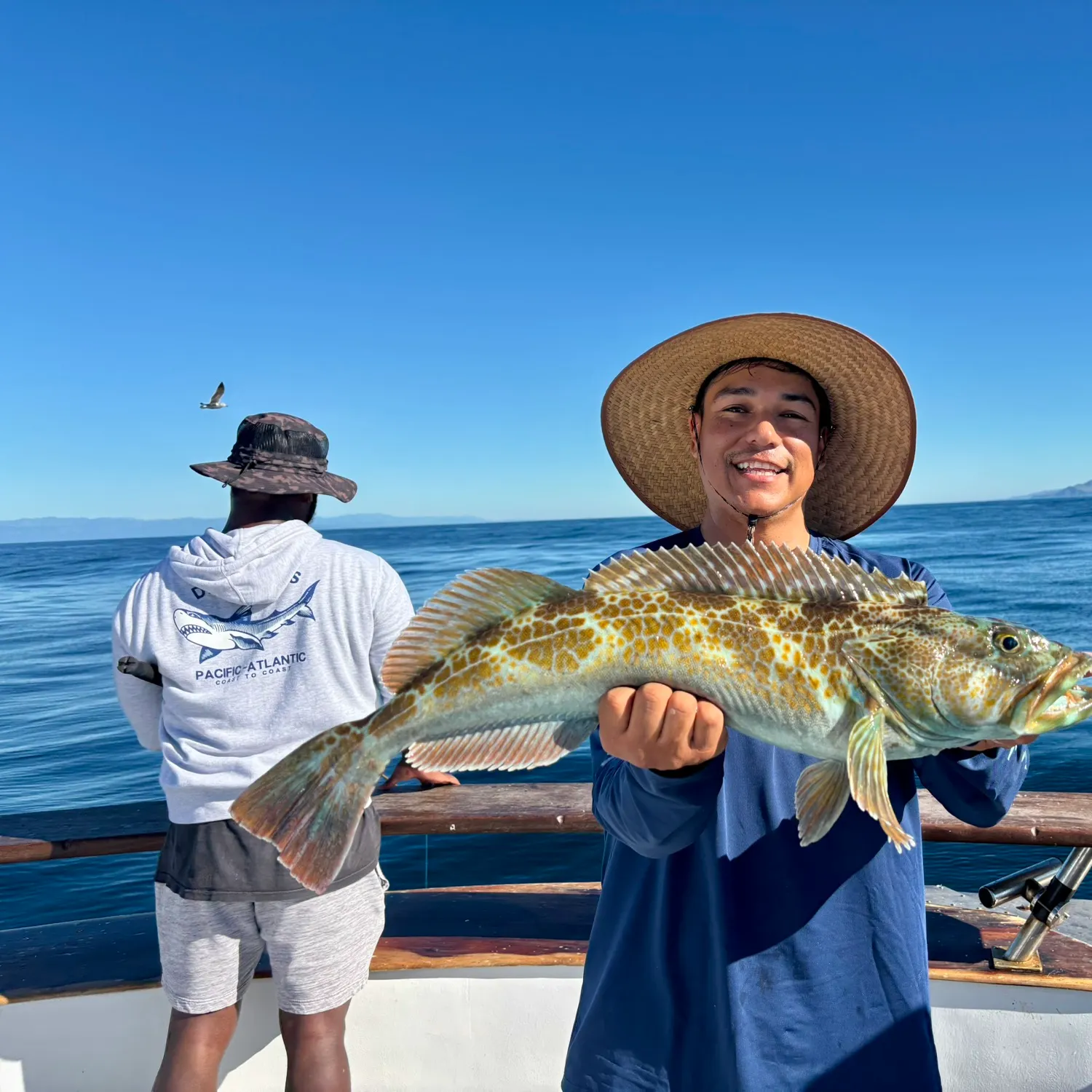 The most recent Lingcod catches on Fishbrain