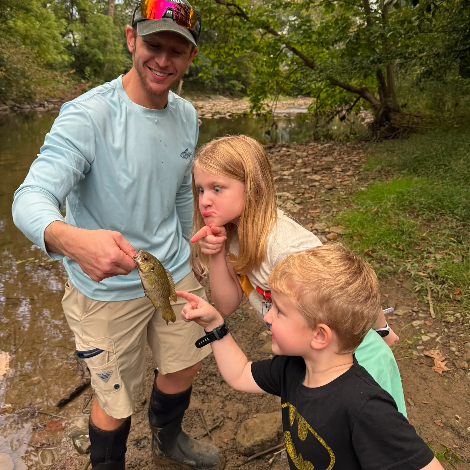 Rock bass caught on Fishbrain