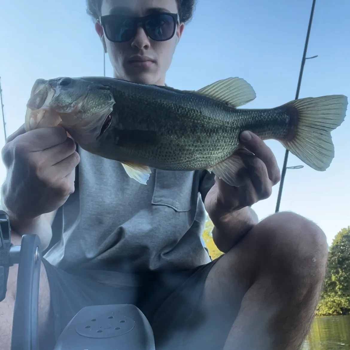Largemouth bass caught on Fishbrain