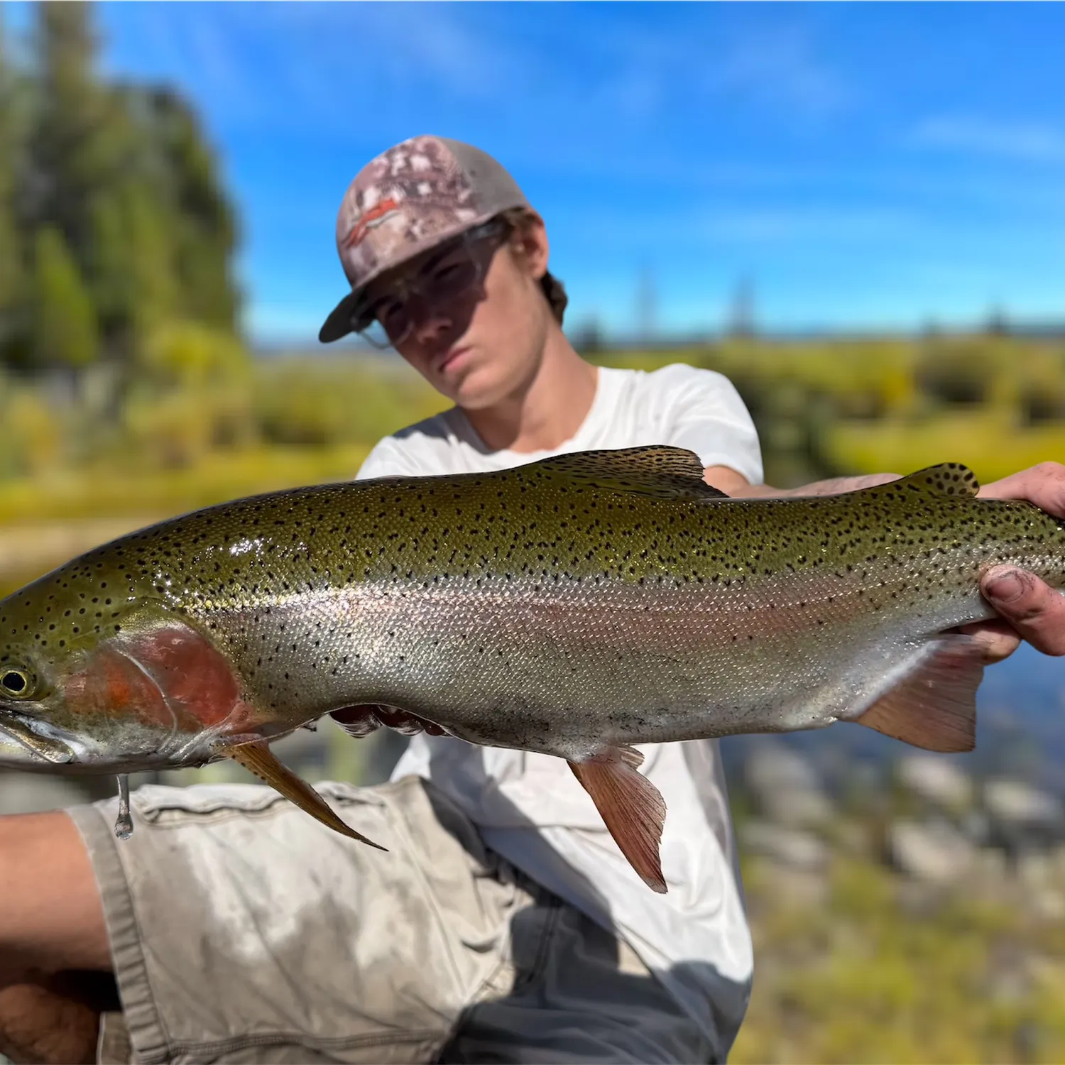 Rainbow trout caught on Fishbrain