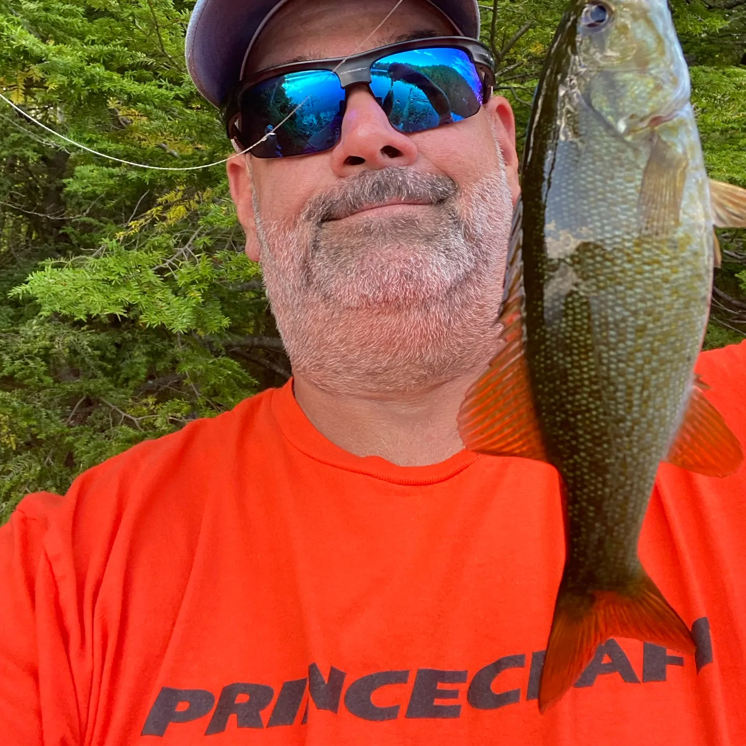 Smallmouth bass caught on Fishbrain