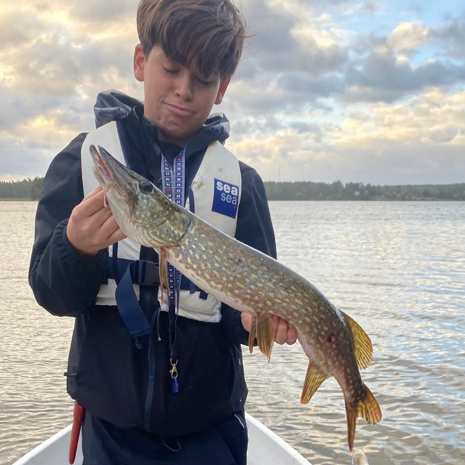 Northern pike caught on Fishbrain
