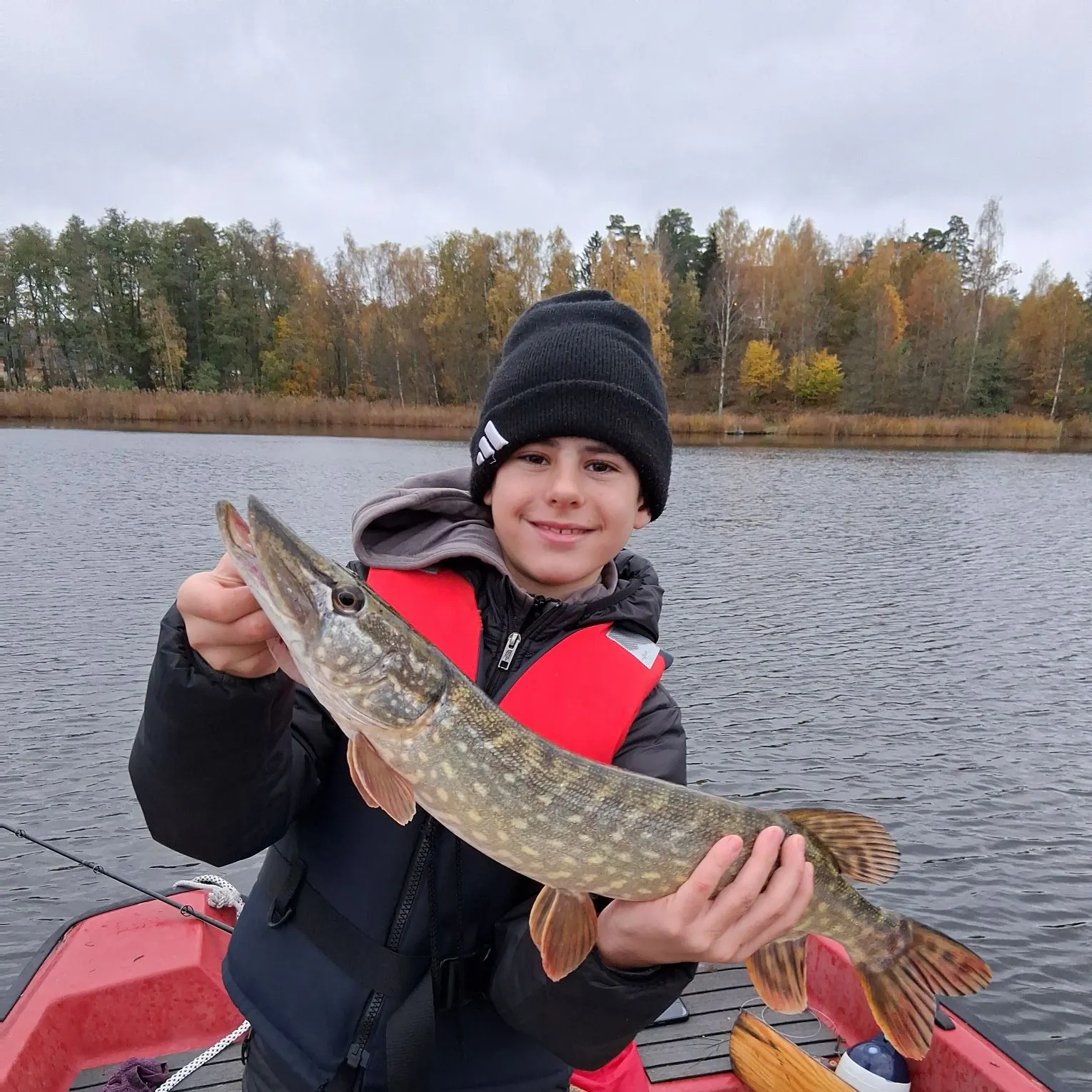 Northern pike caught on Fishbrain