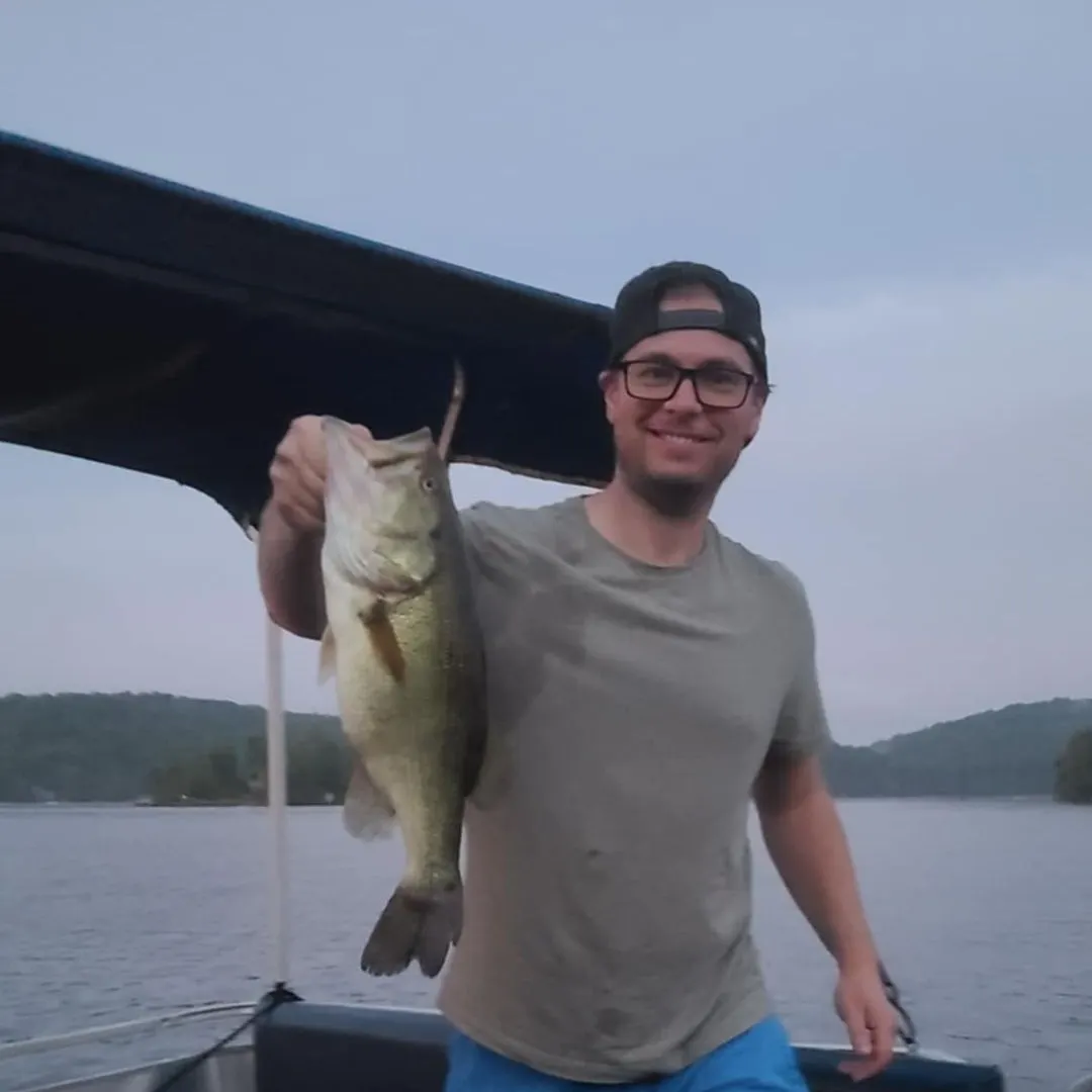 Largemouth bass caught on Fishbrain