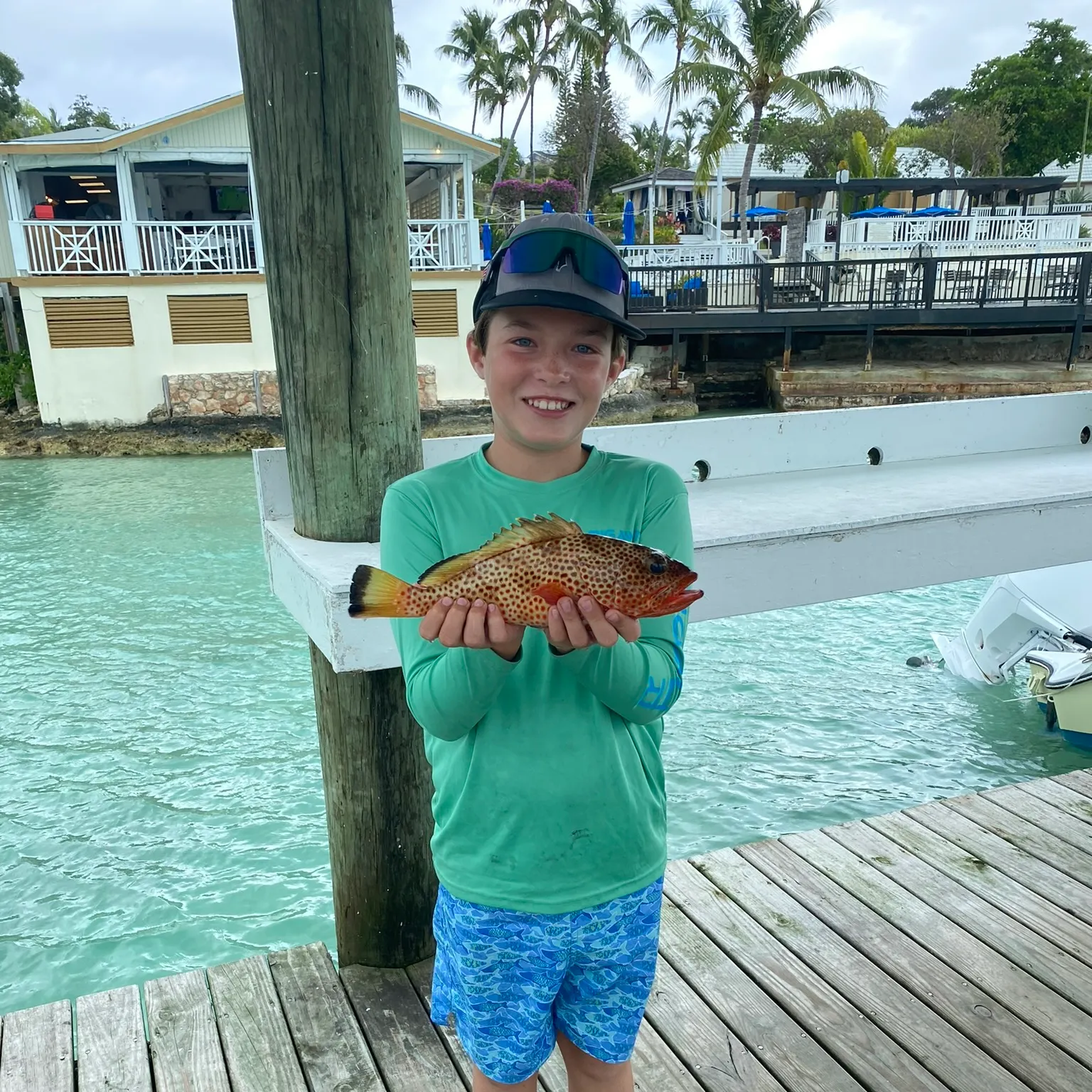 The most recent Strawberry hind catches on Fishbrain