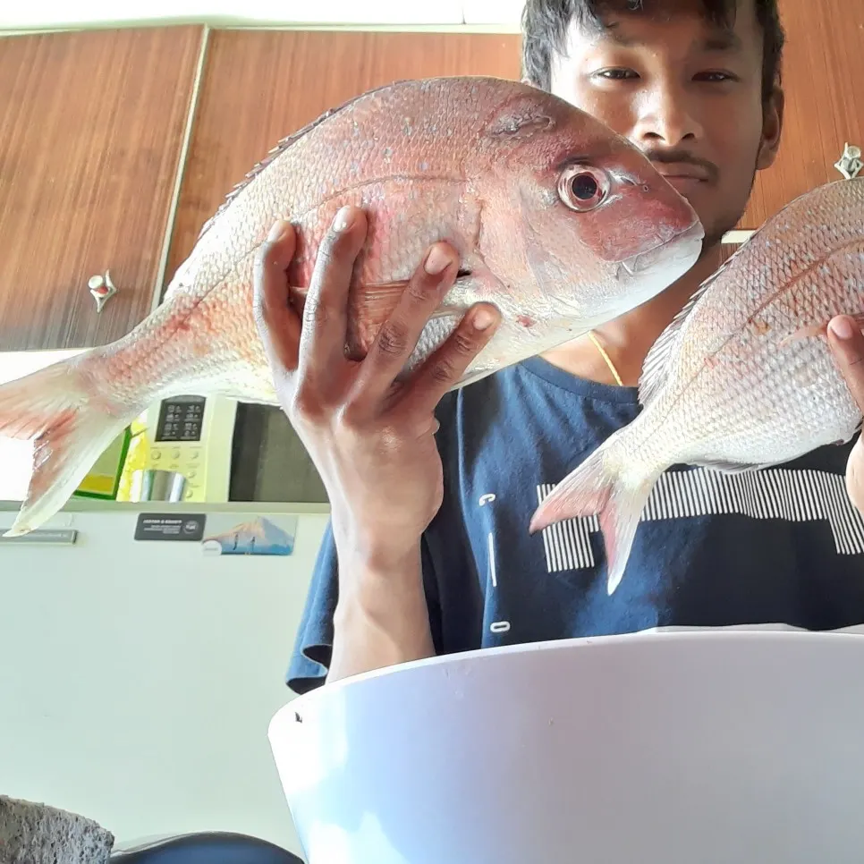 angler catch