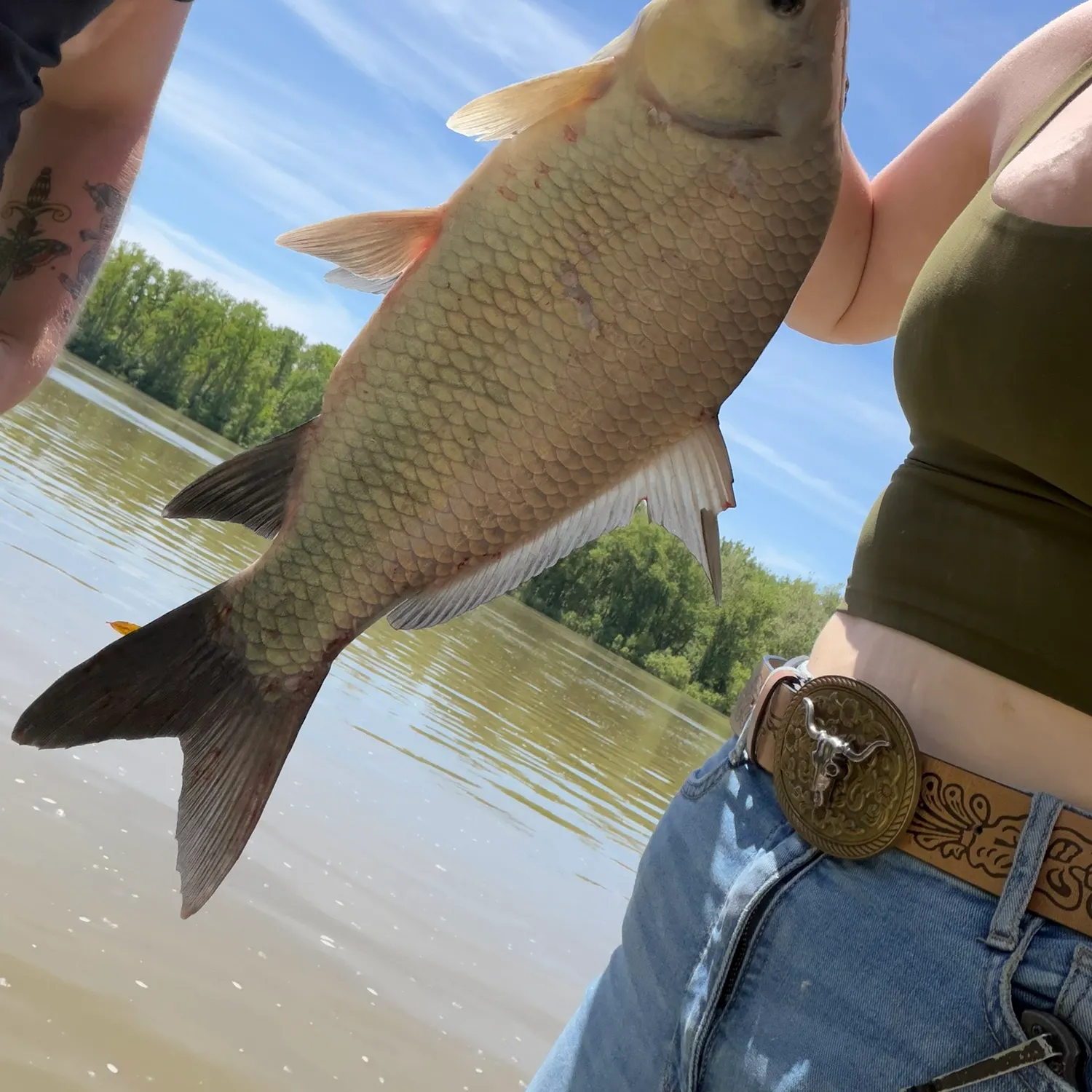 The most recent Smallmouth buffalo catches on Fishbrain