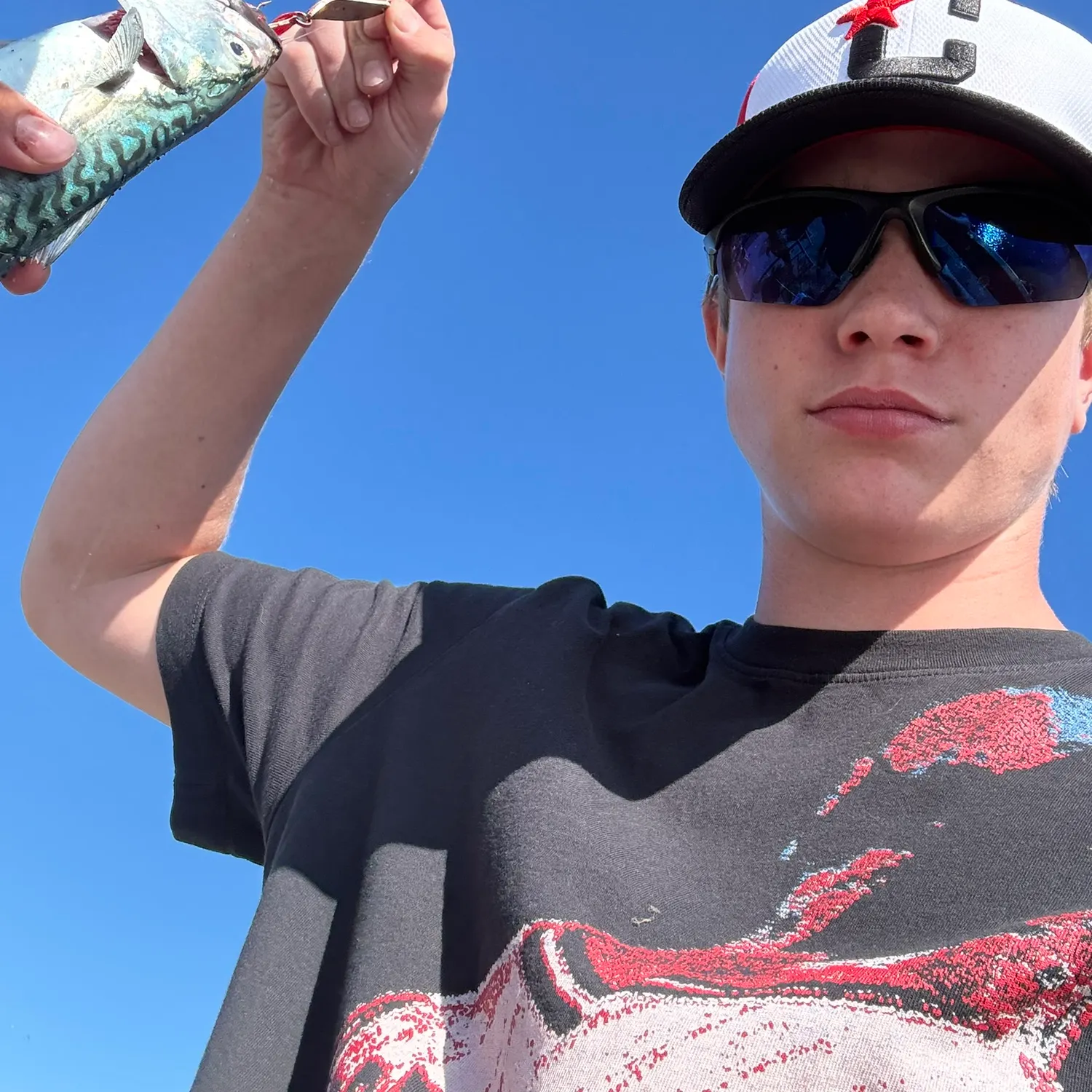 Atlantic mackerel caught on Fishbrain