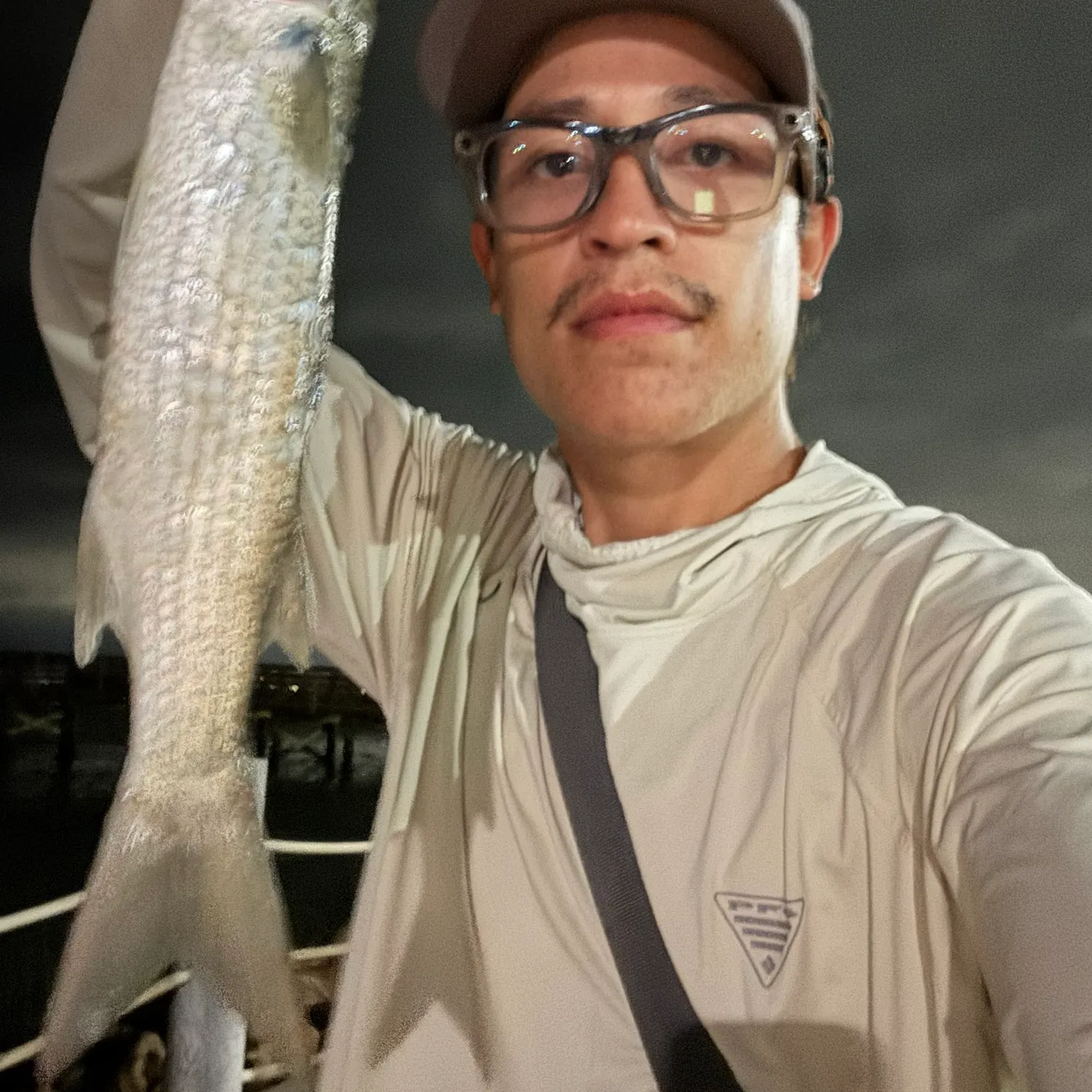 Striped mullet caught on Fishbrain