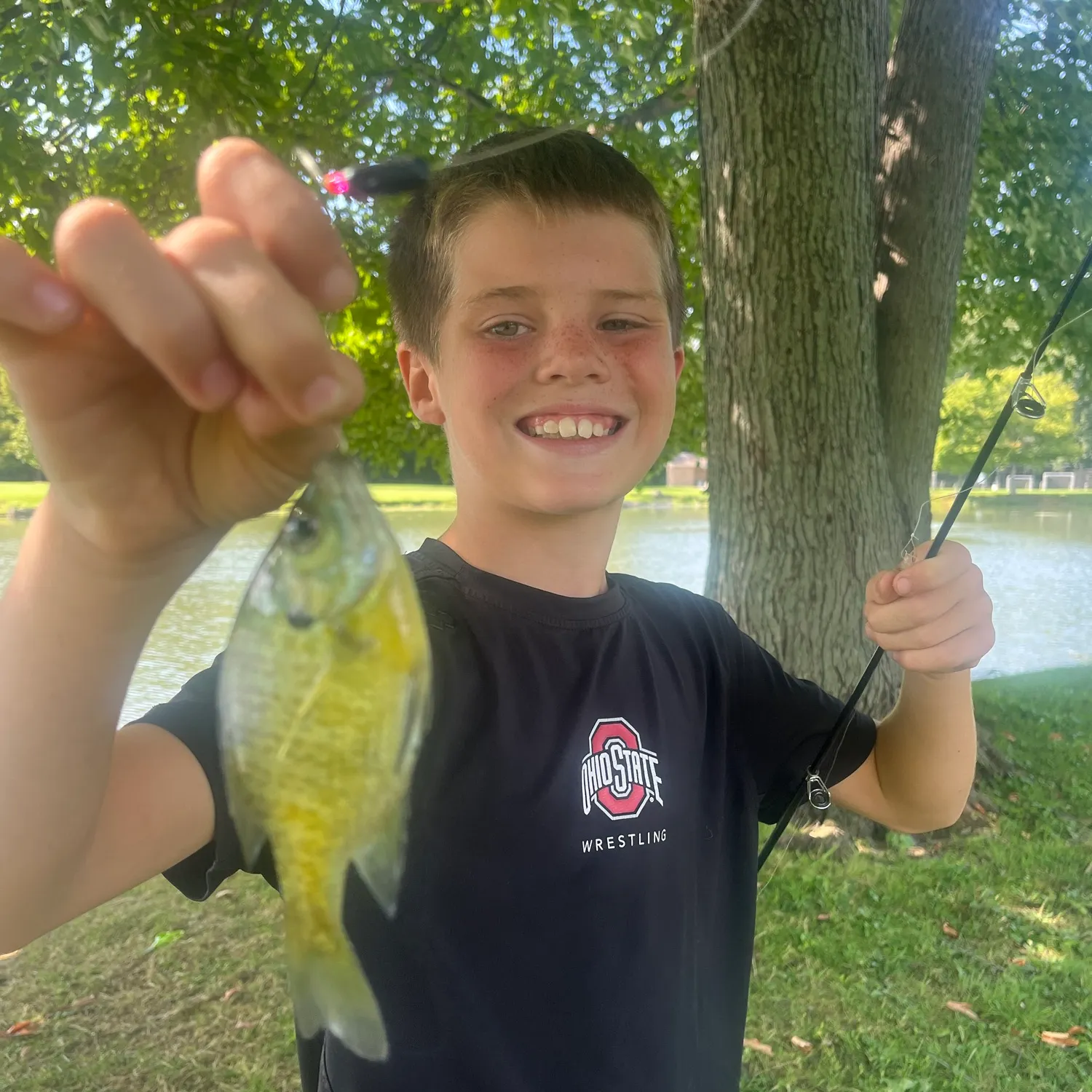 Bluegill caught on Fishbrain