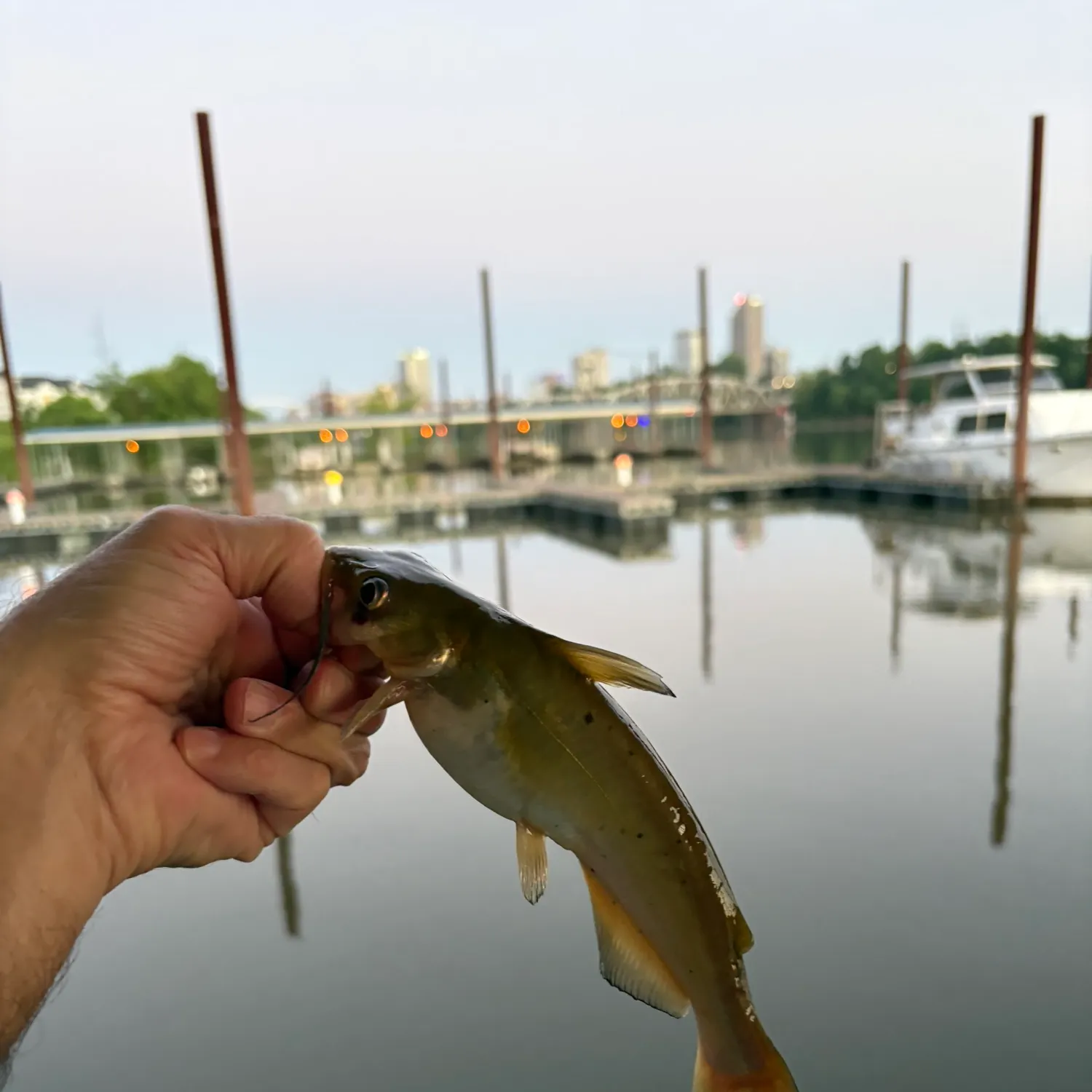 catch