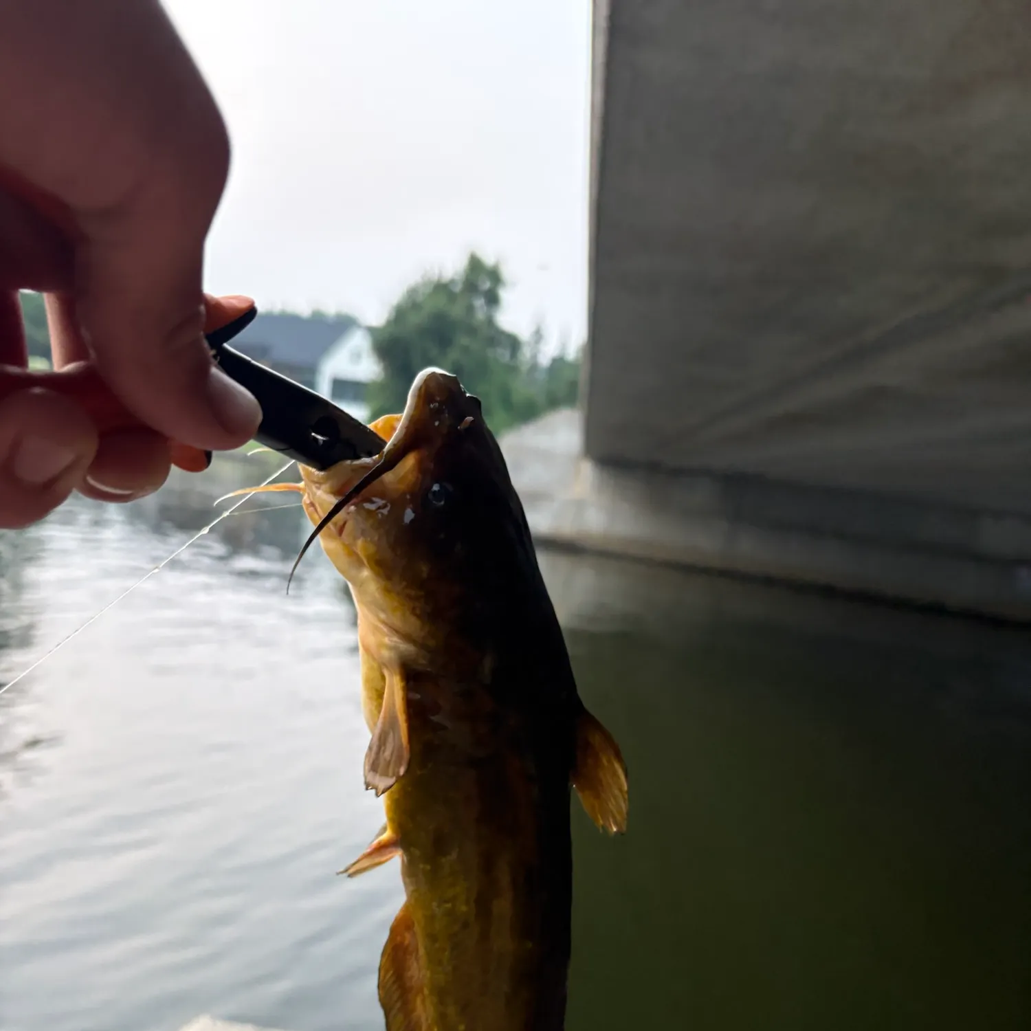 catch