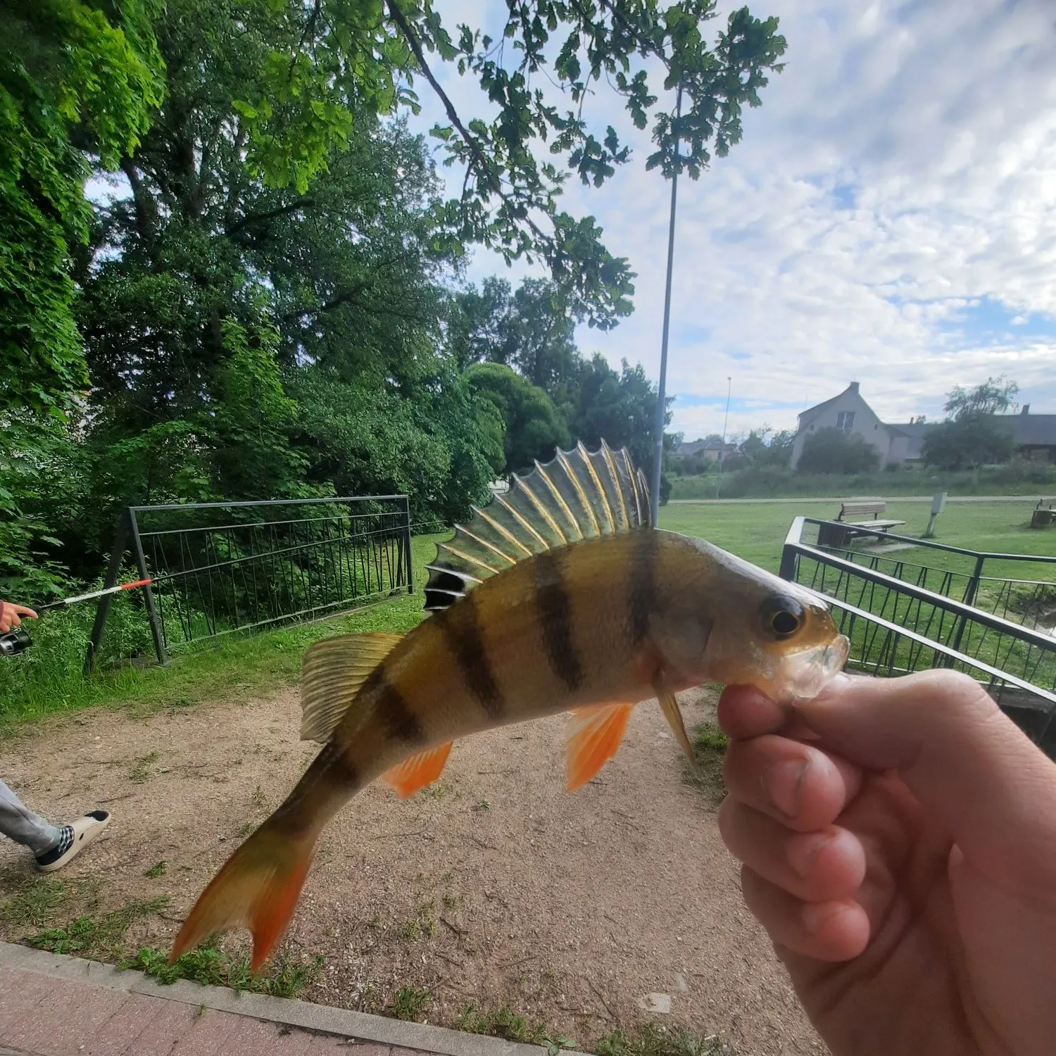 catch