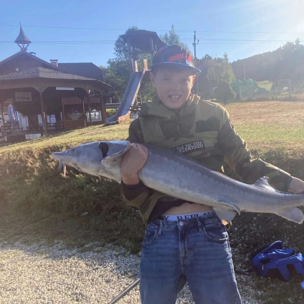 White sturgeon caught on Fishbrain
