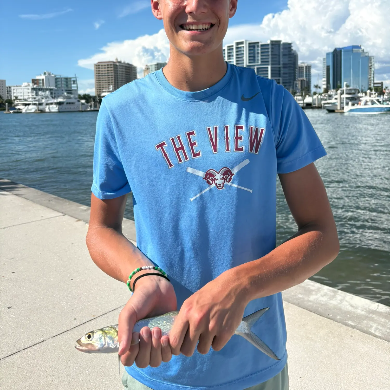 Ladyfish caught on Fishbrain