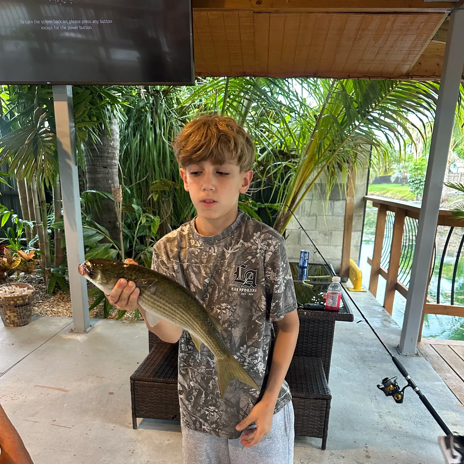 The most recent Thicklip grey mullet catches on Fishbrain