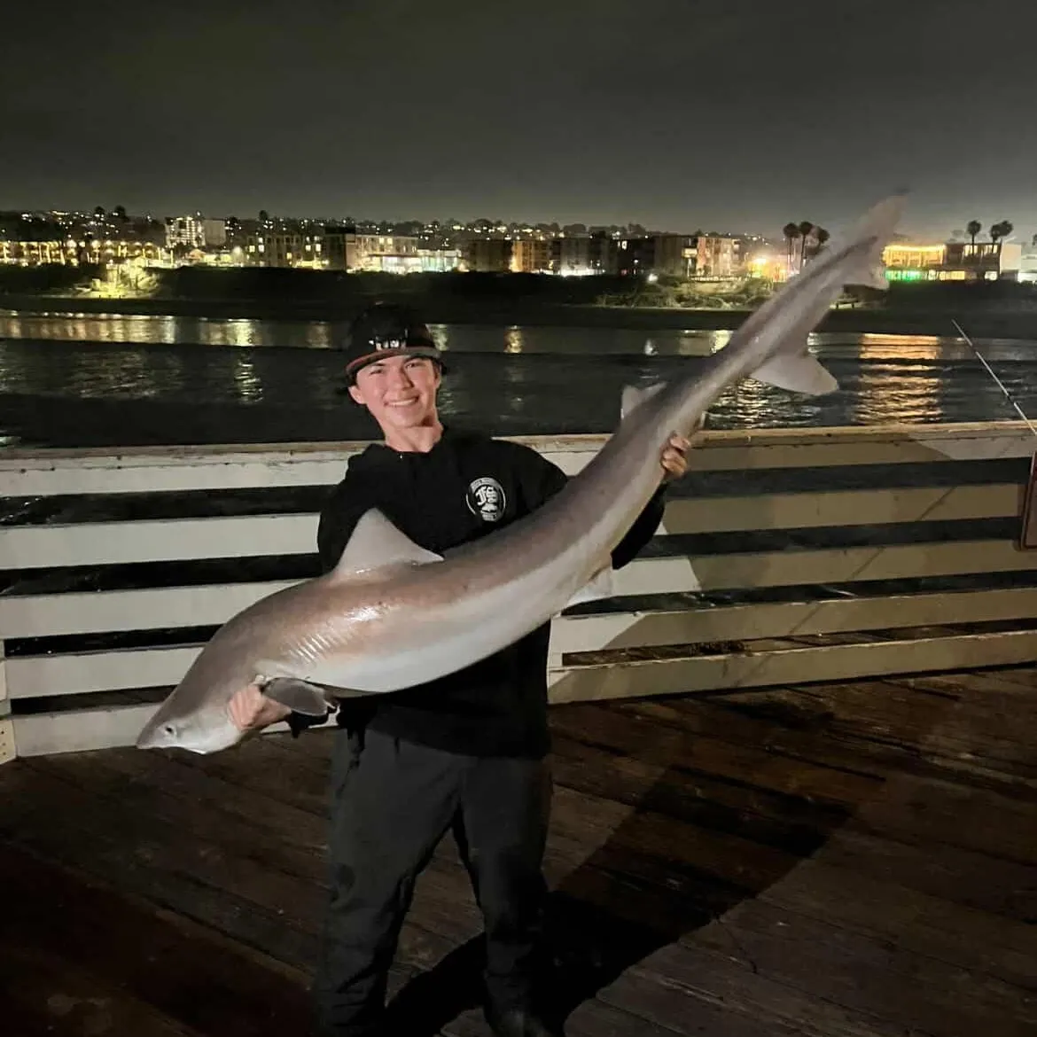 The most recent Tope shark catches on Fishbrain