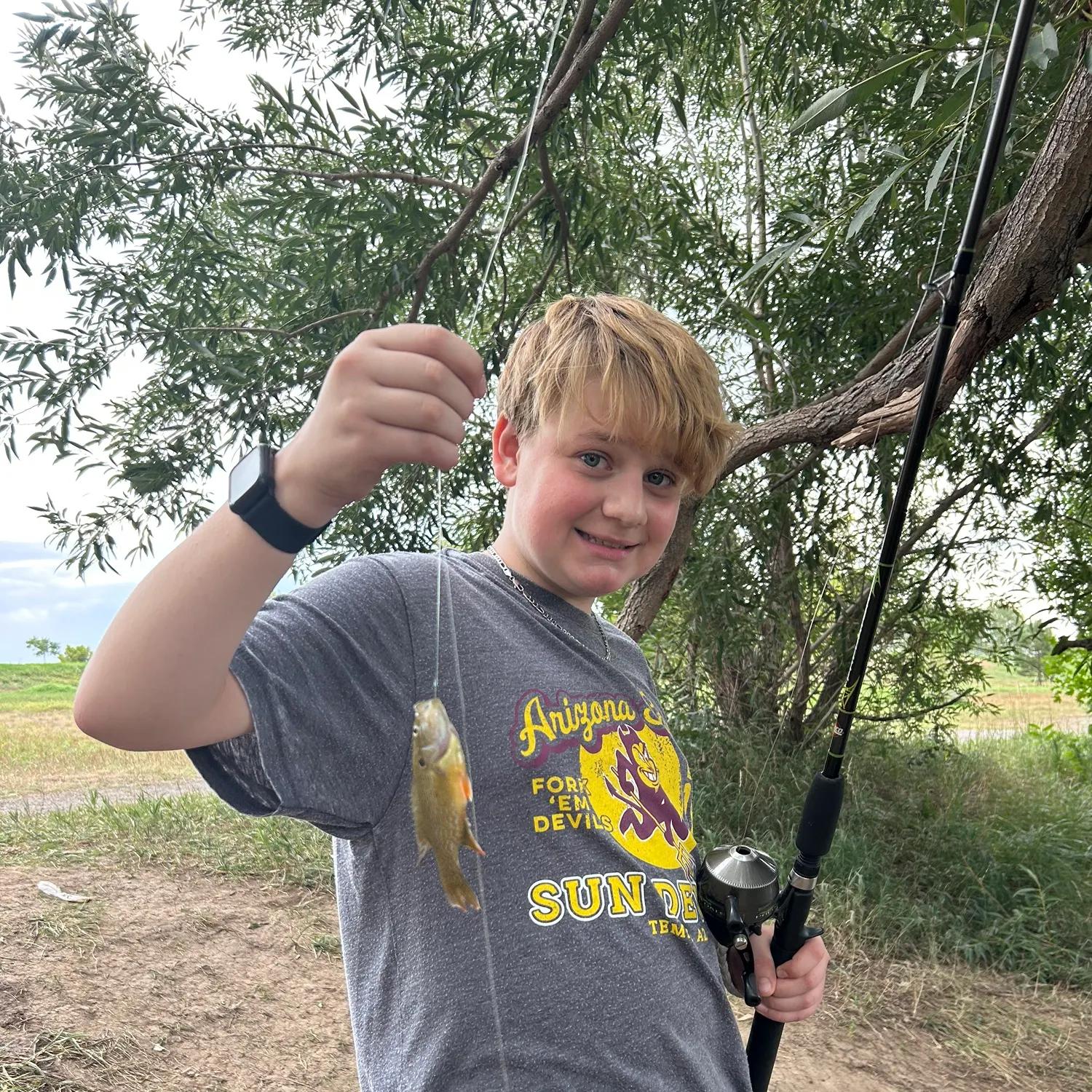 Green sunfish caught on Fishbrain