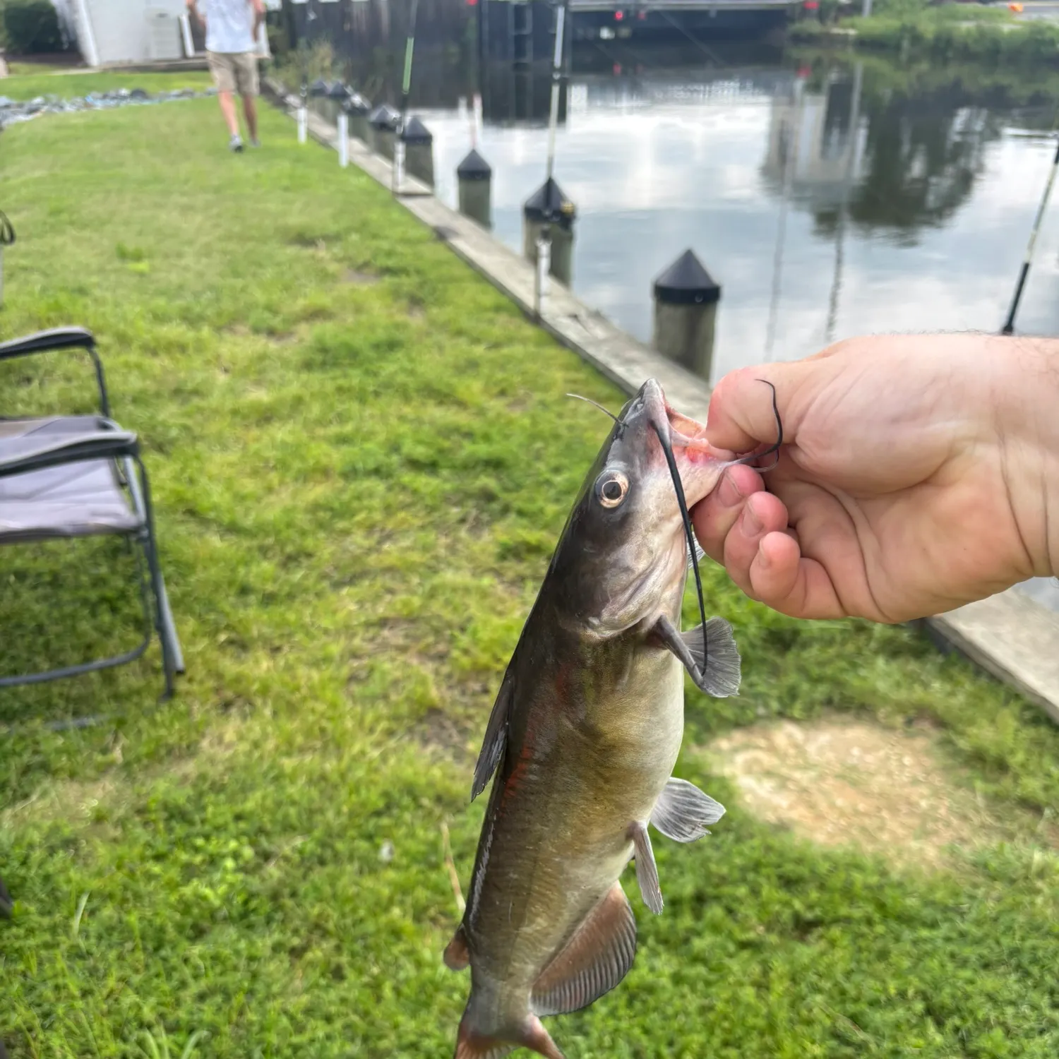 catch