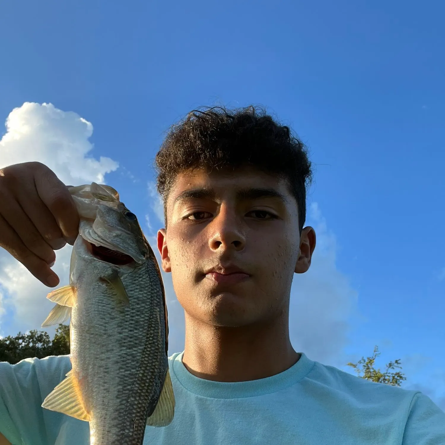 angler catch