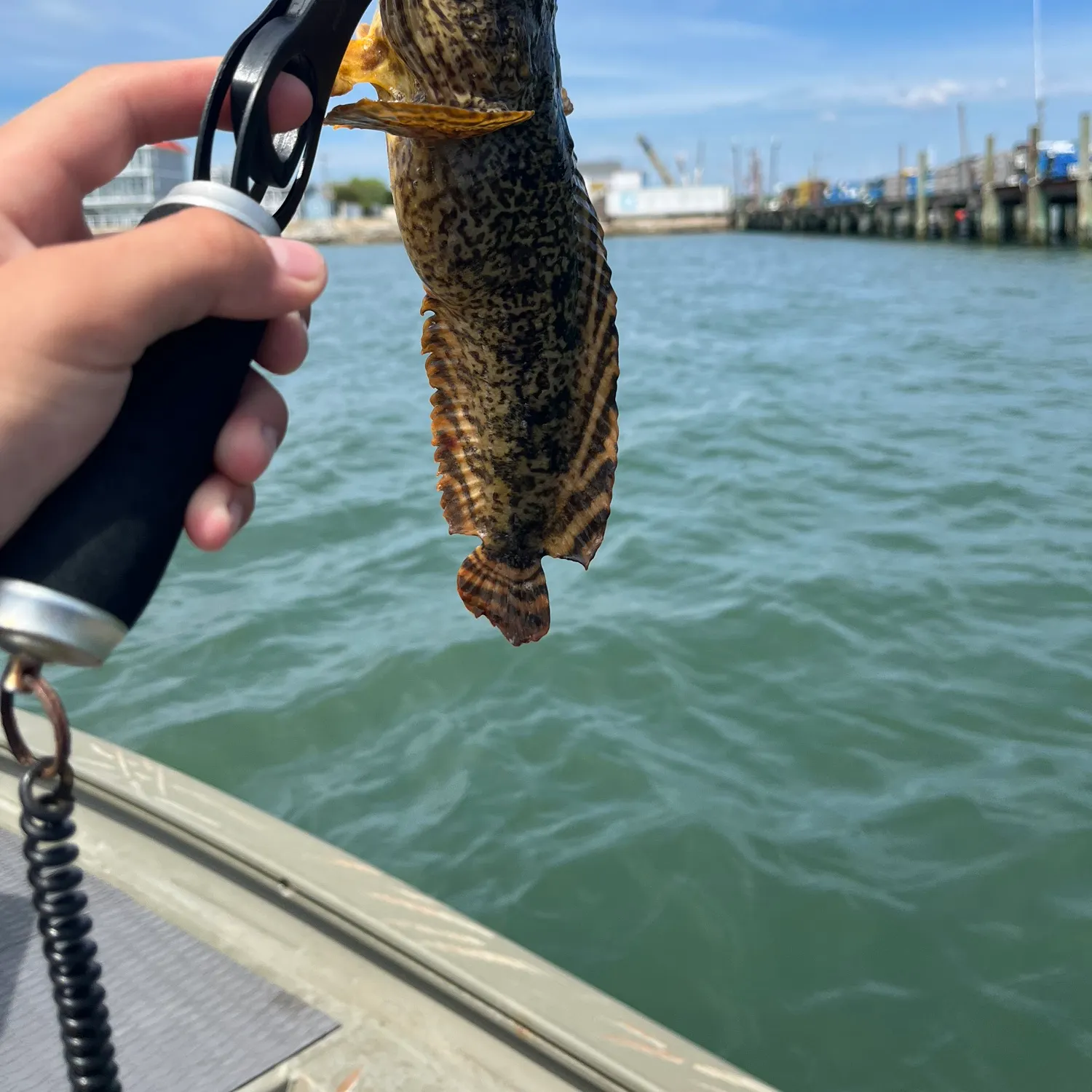 catch