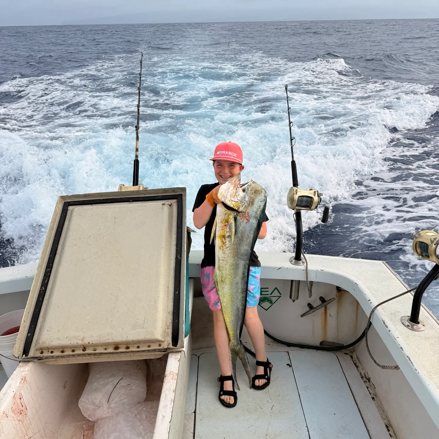 Common dolphinfish caught on Fishbrain
