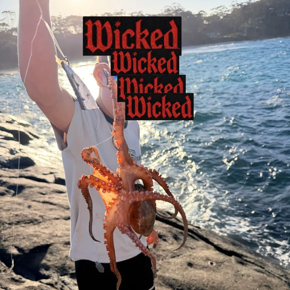 Common octopus caught on Fishbrain