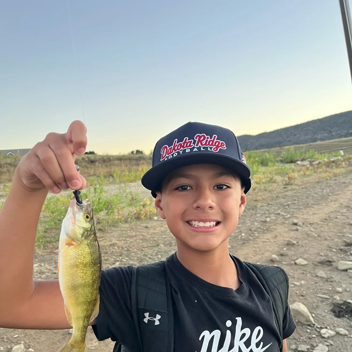 Yellow perch caught on Fishbrain