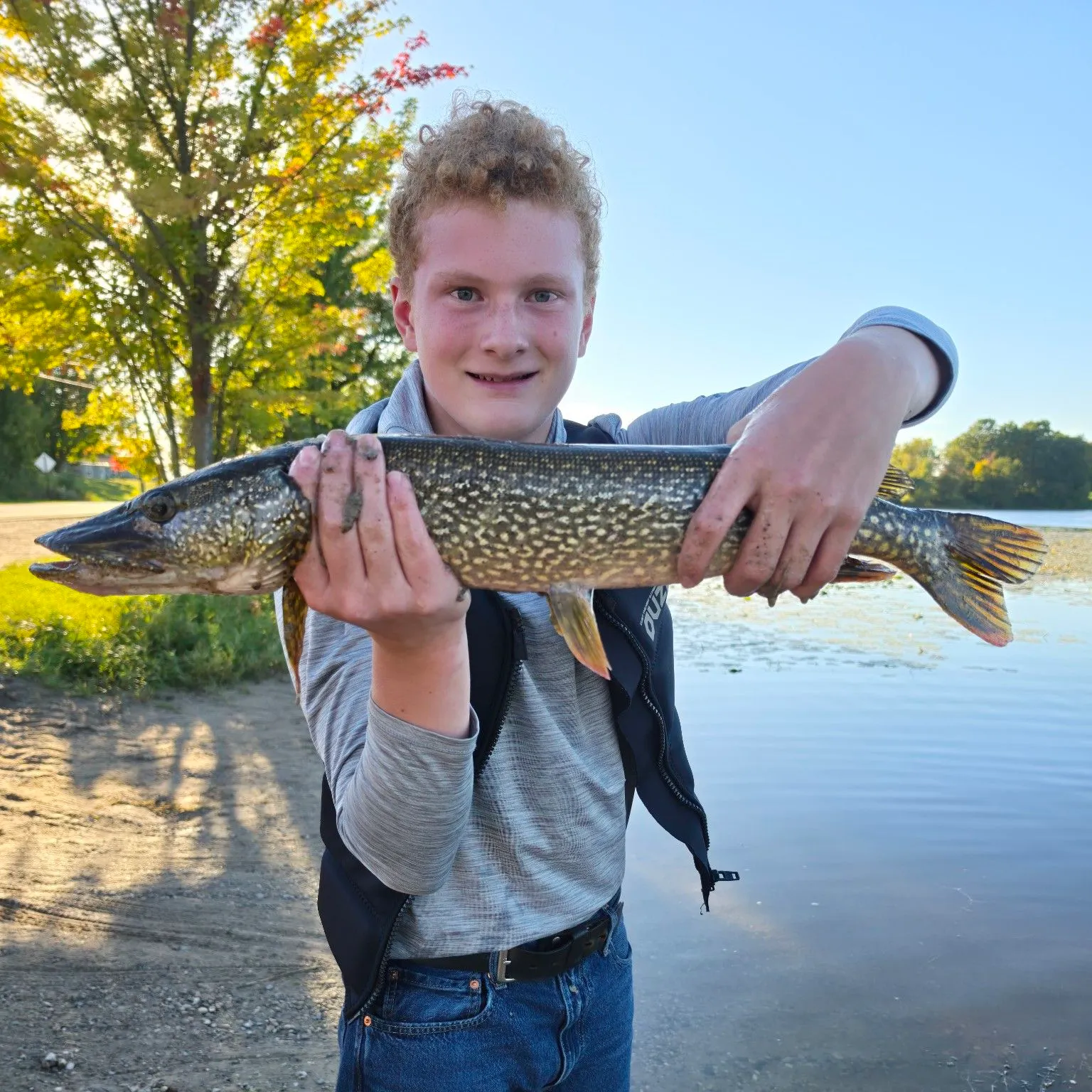 Northern pike caught on Fishbrain