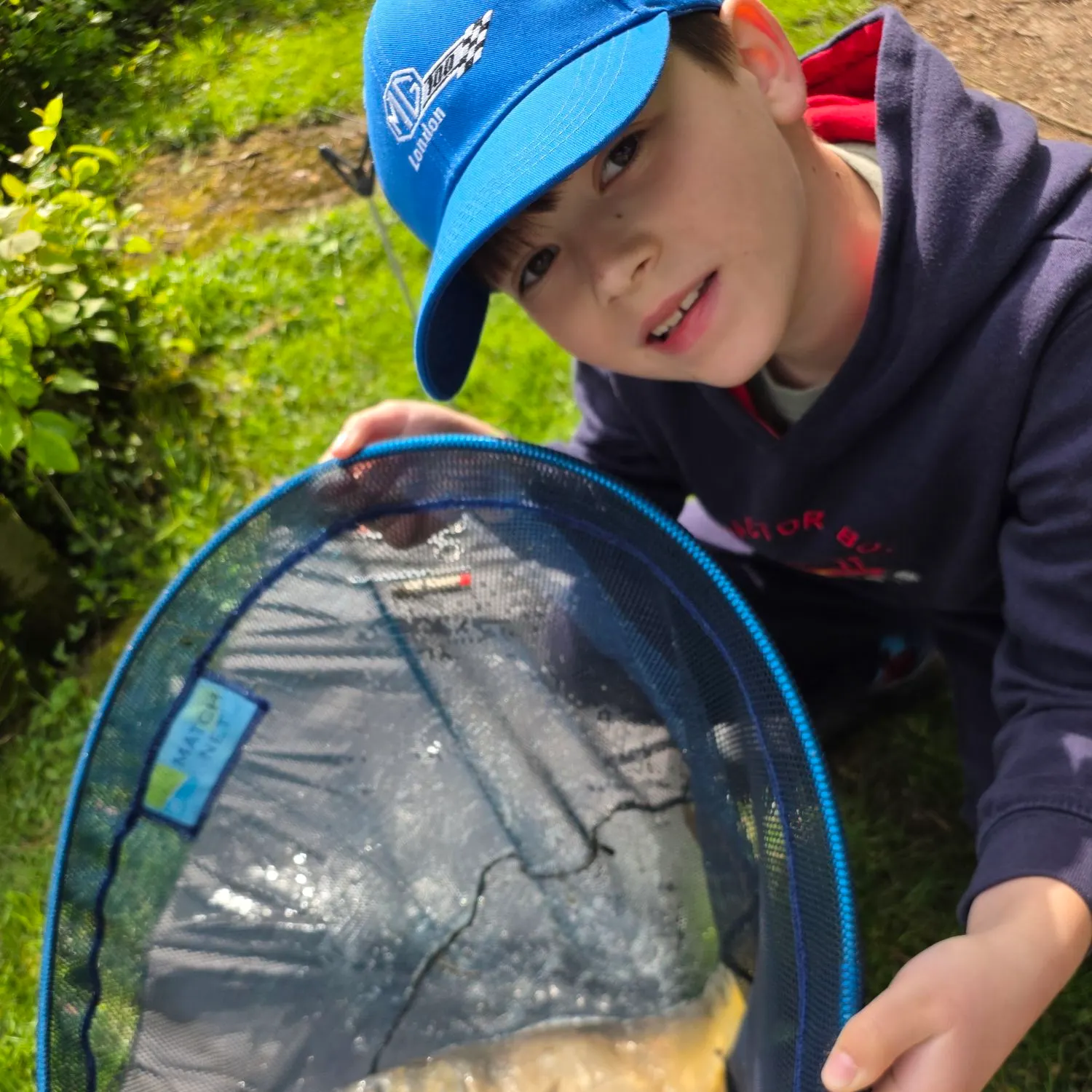 Mirror carp caught on Fishbrain