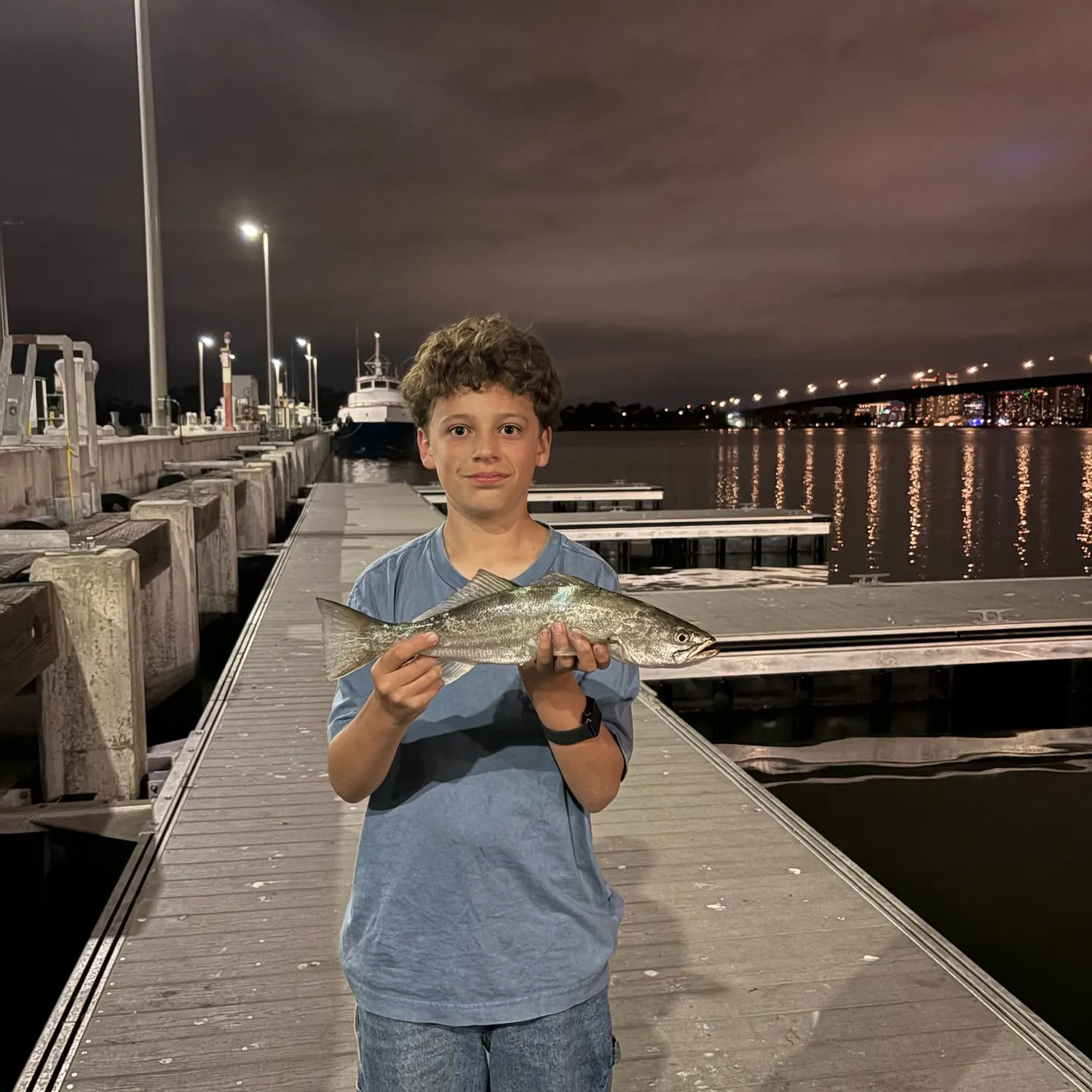 The most recent Stolzmann's weakfish catches on Fishbrain