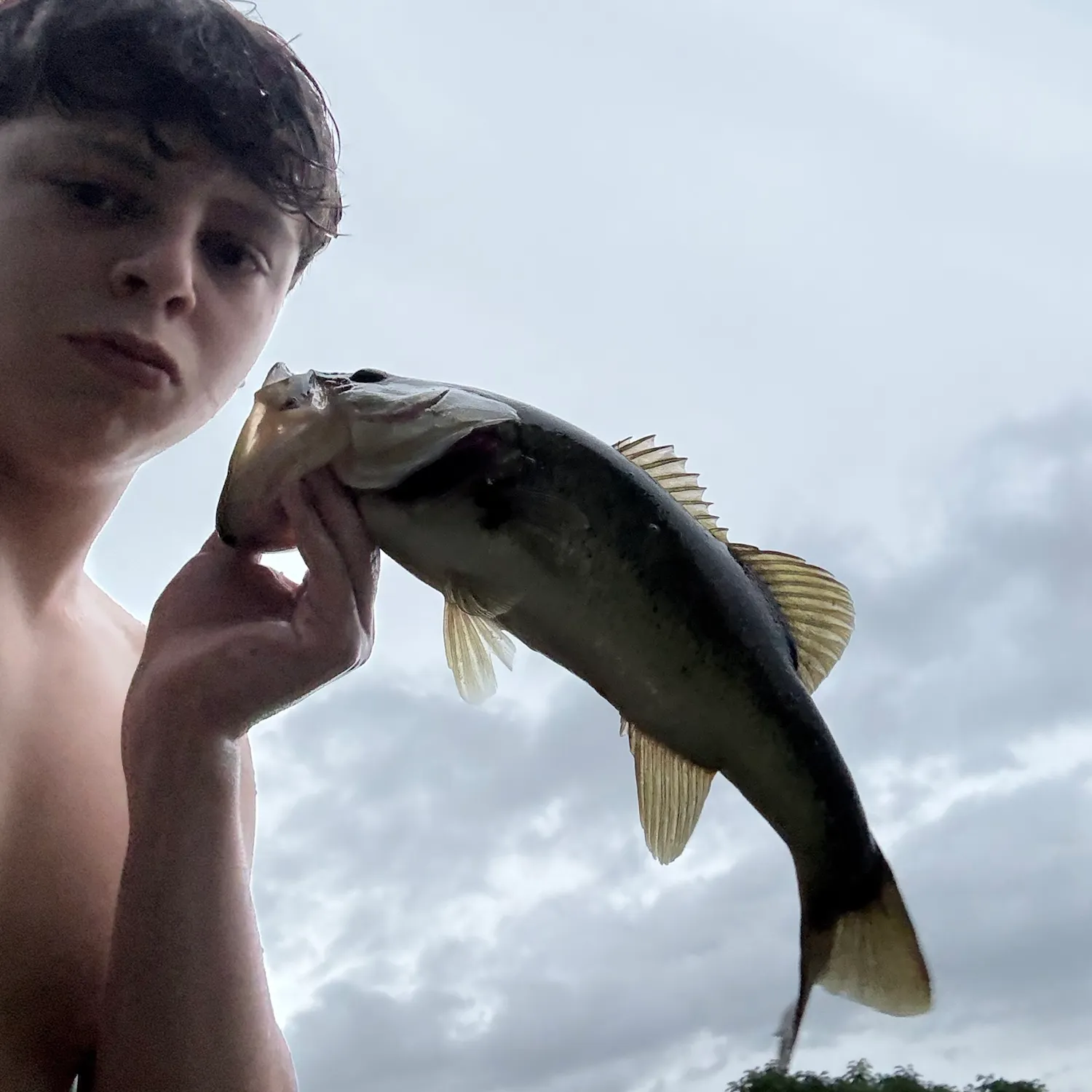 Largemouth bass caught on Fishbrain