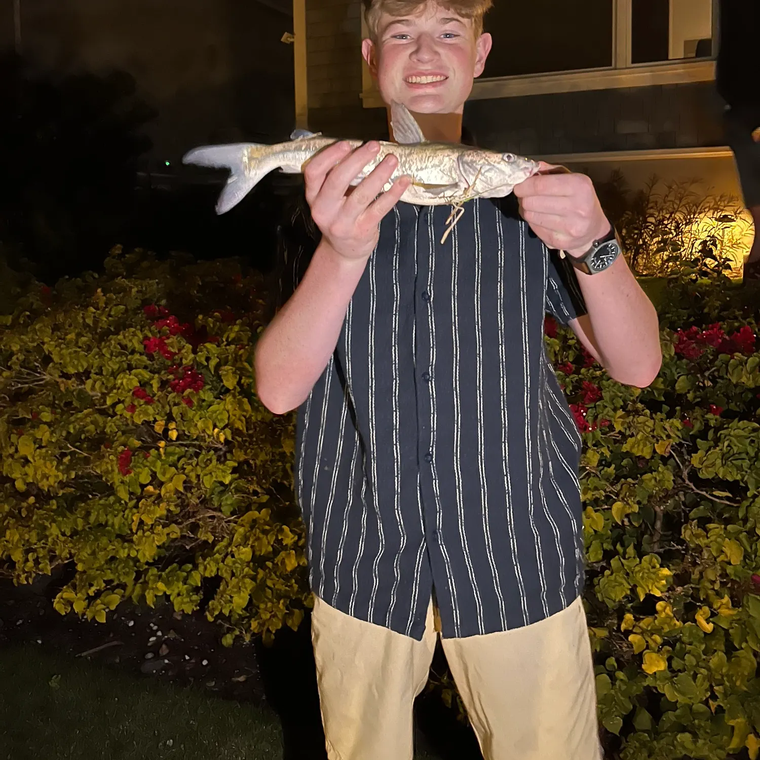 The most recent Hardhead sea catfish catches on Fishbrain