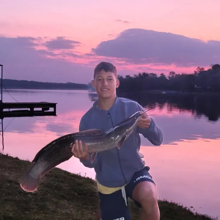 The most recent North African catfish catches on Fishbrain