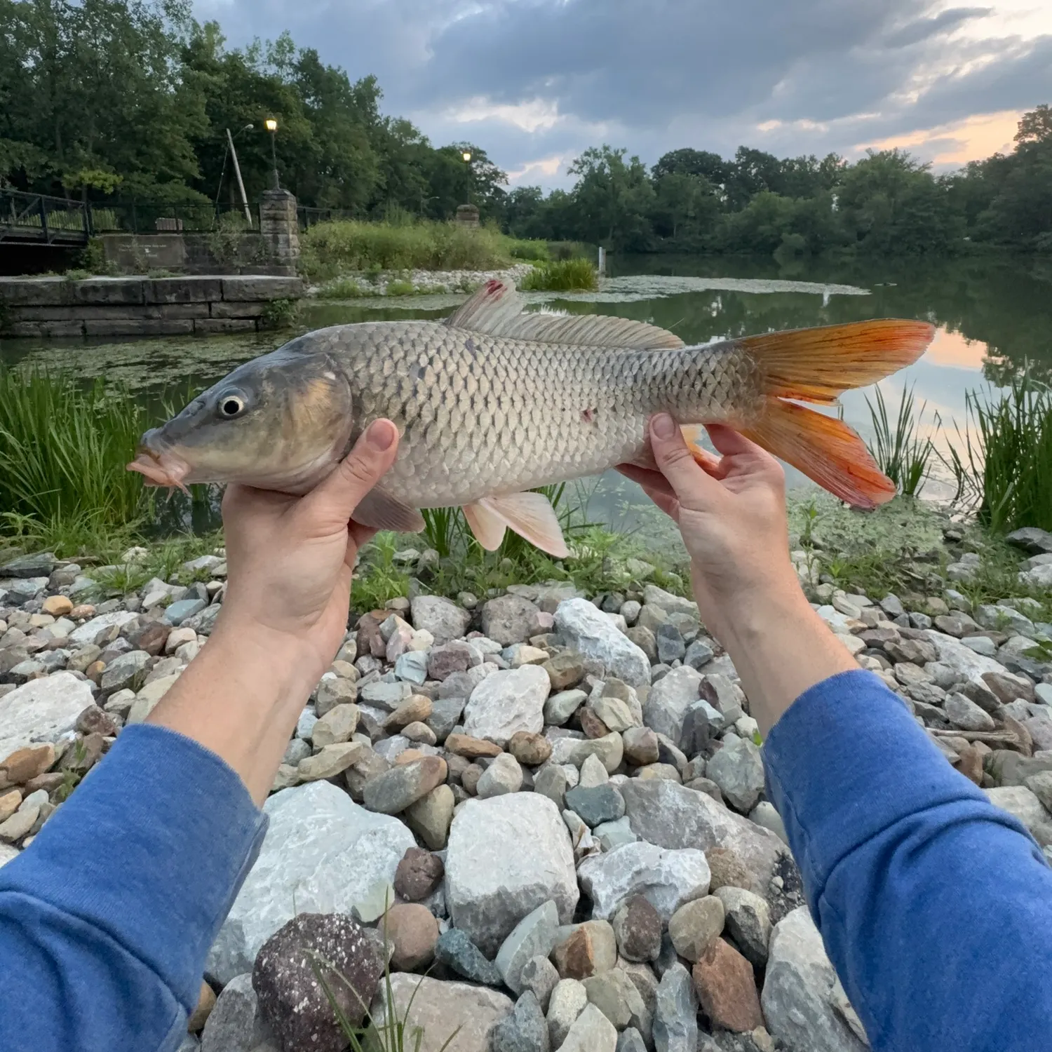 catch