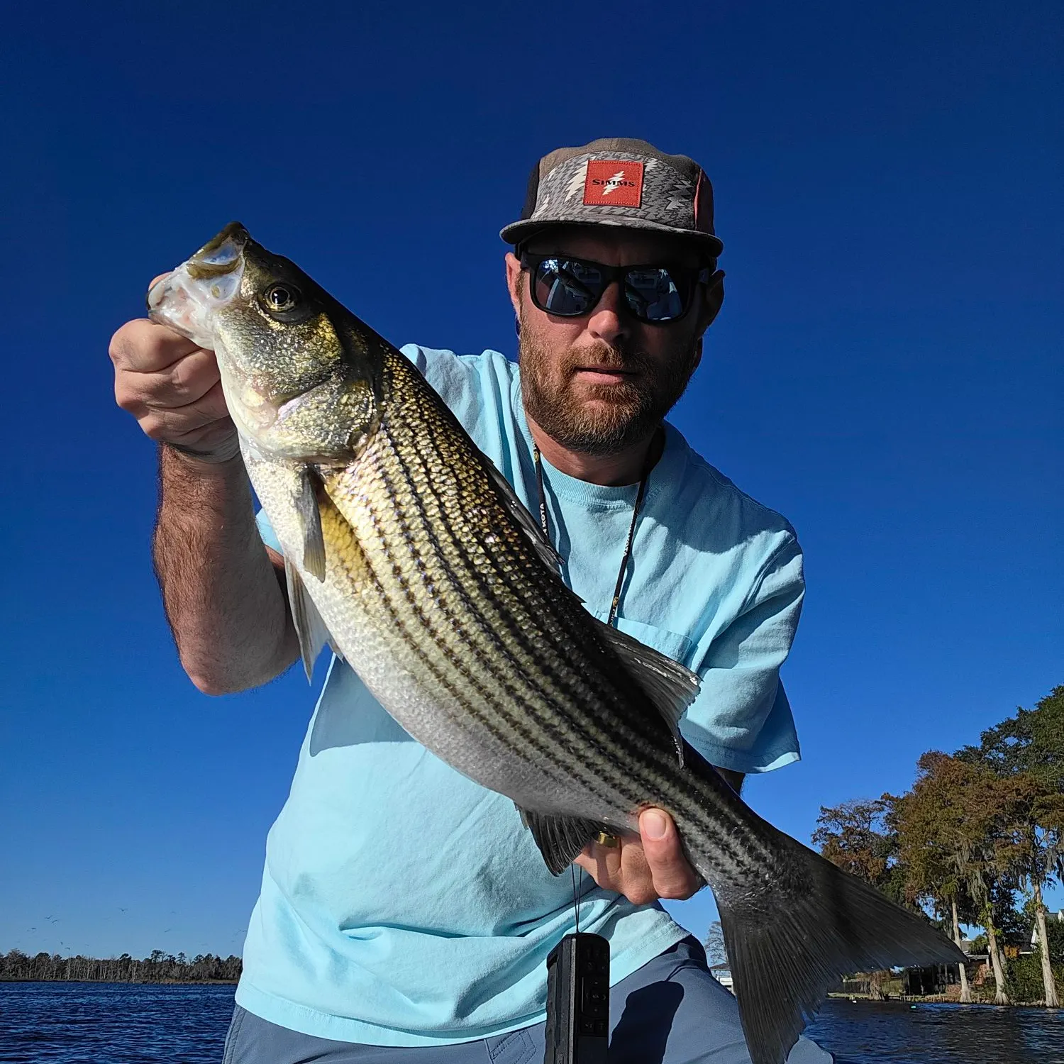 Striped bass caught on Fishbrain