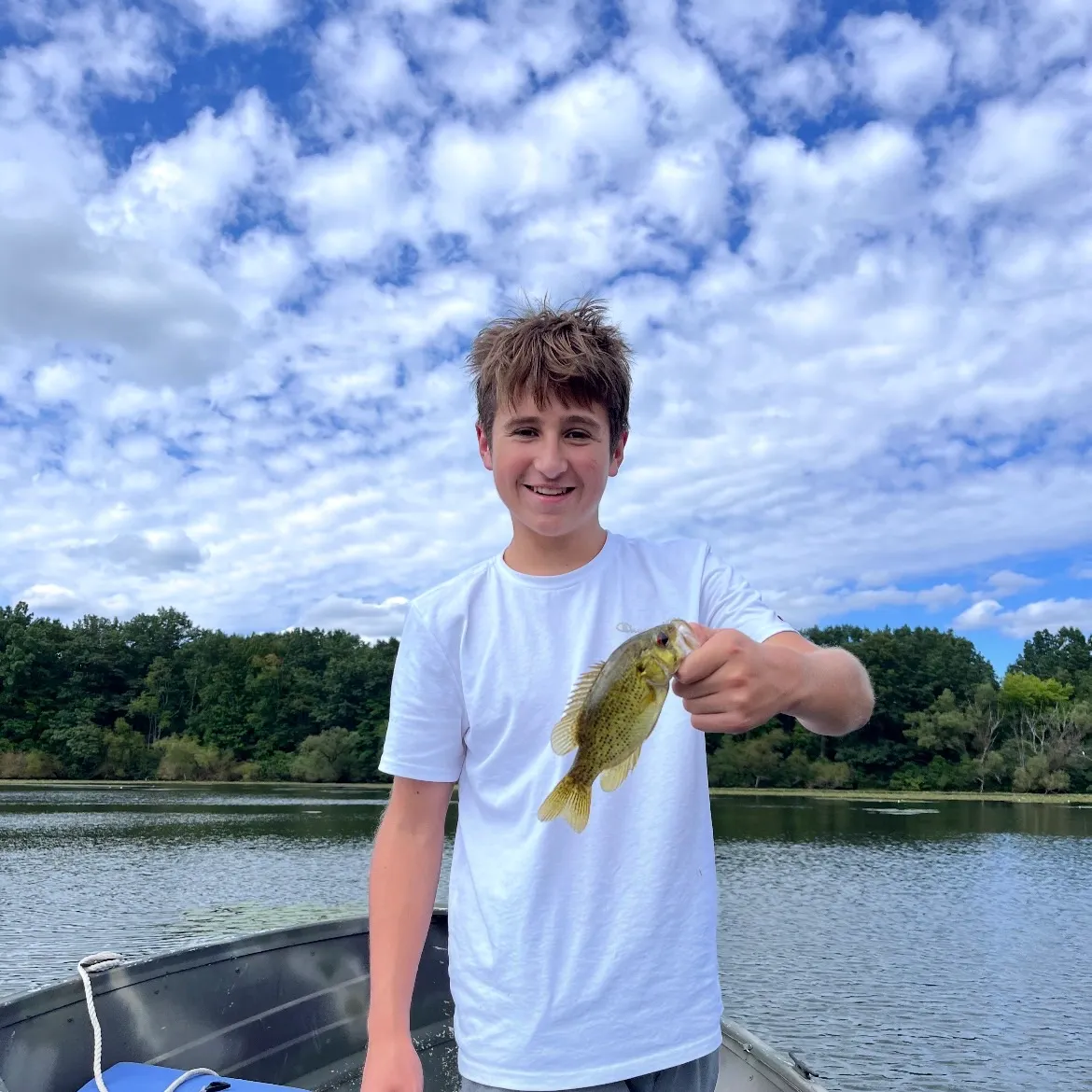 Rock bass caught on Fishbrain