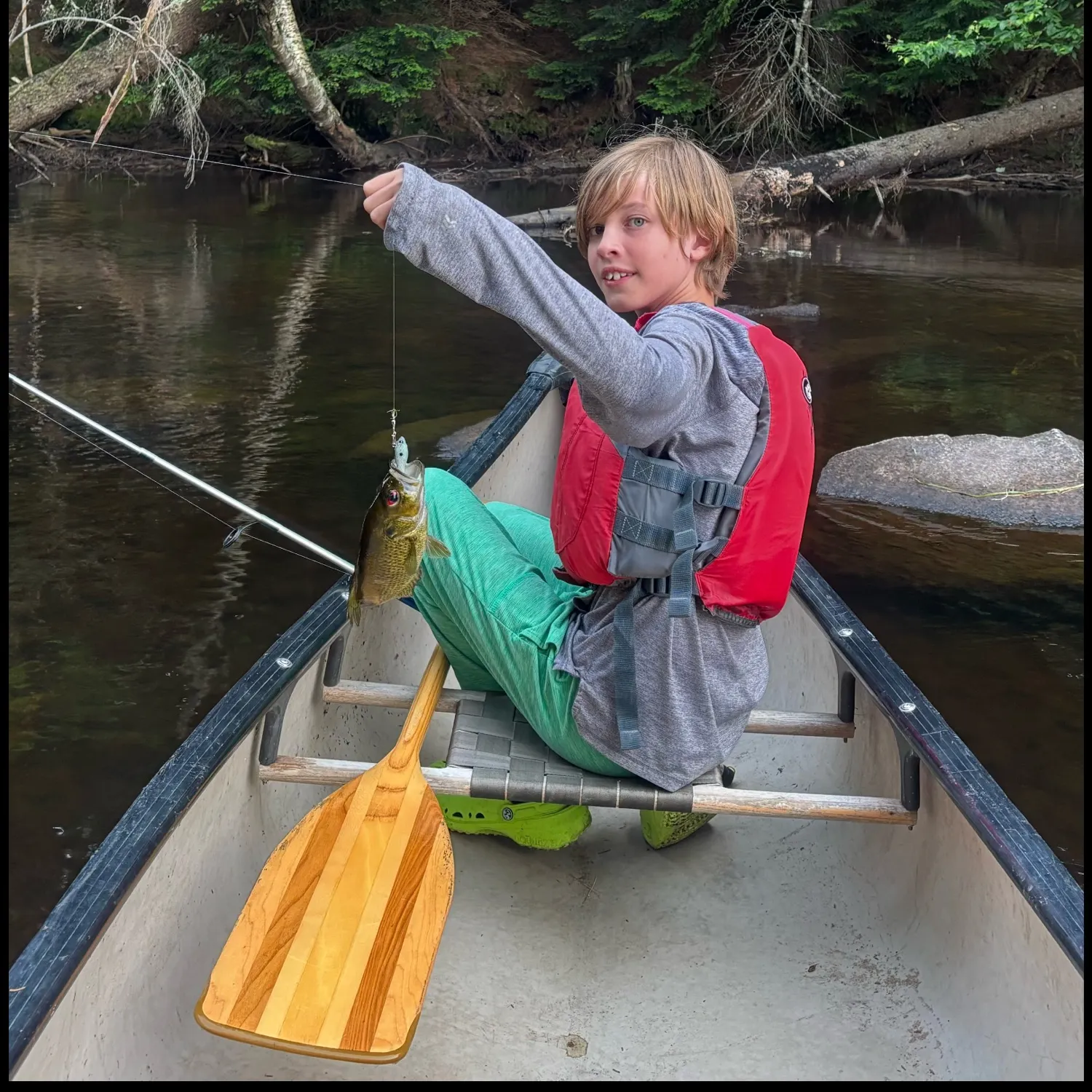 The most recent Bluegill catches on Fishbrain