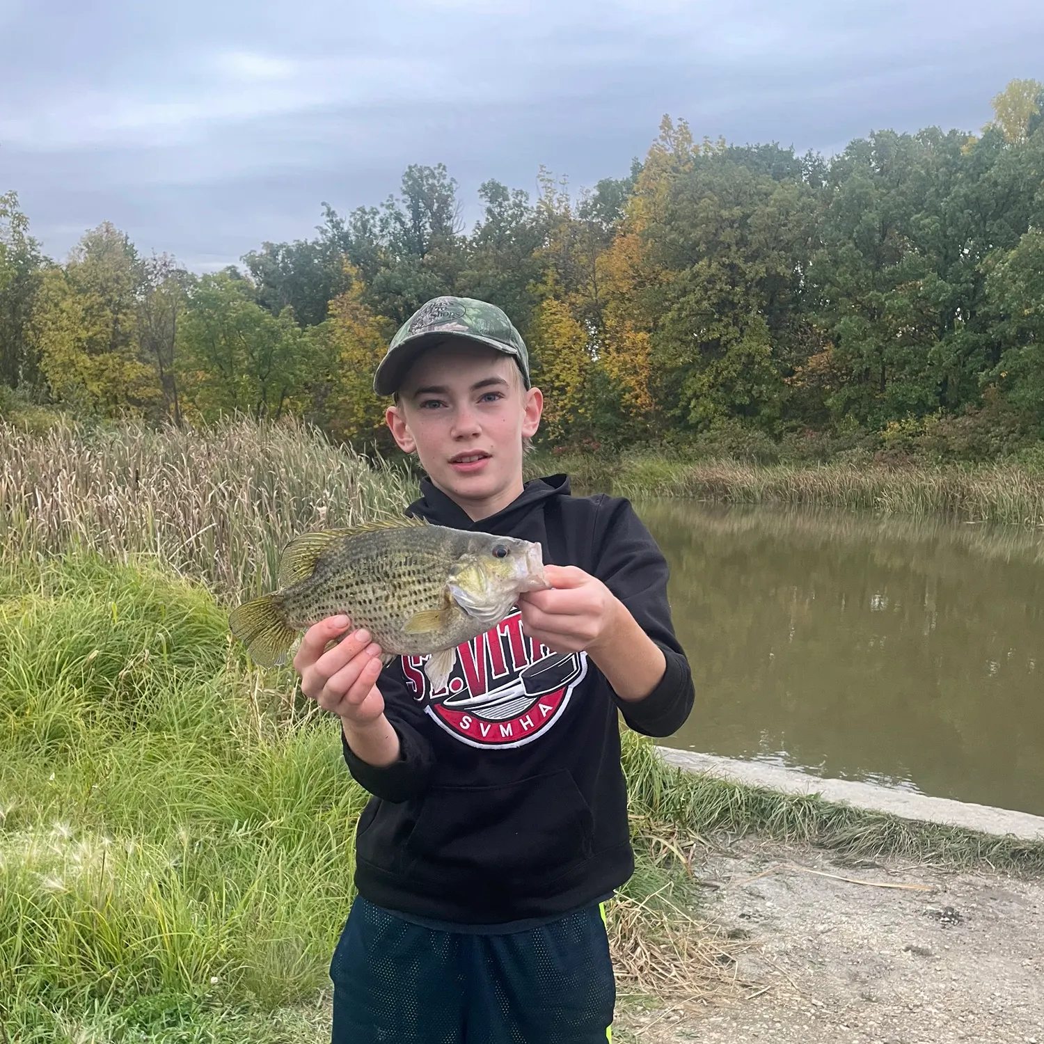 Rock bass caught on Fishbrain