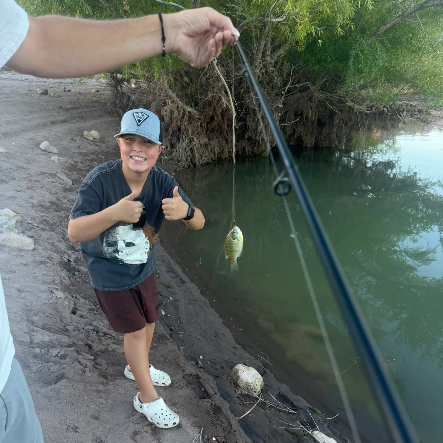 Bluegill caught on Fishbrain