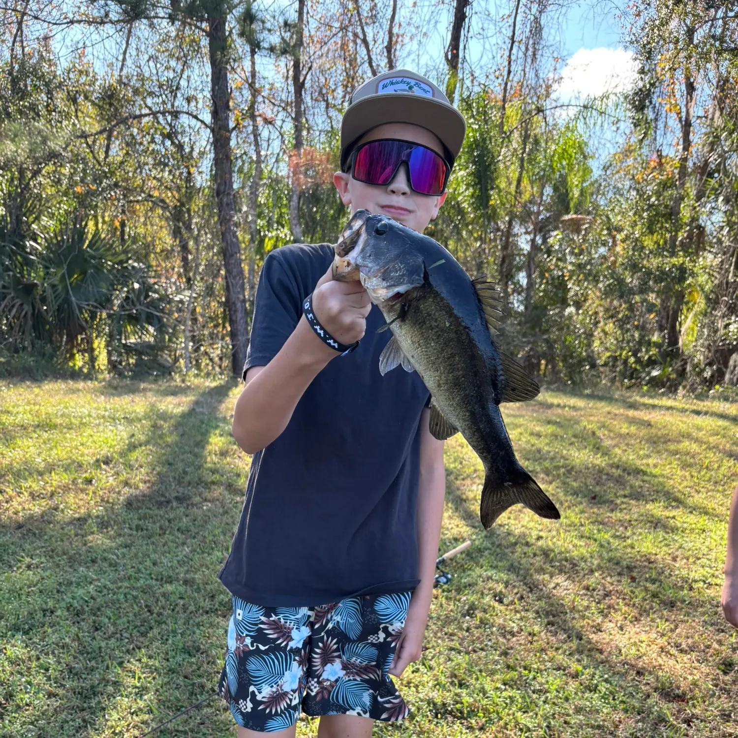 The most recent Largemouth bass catches on Fishbrain