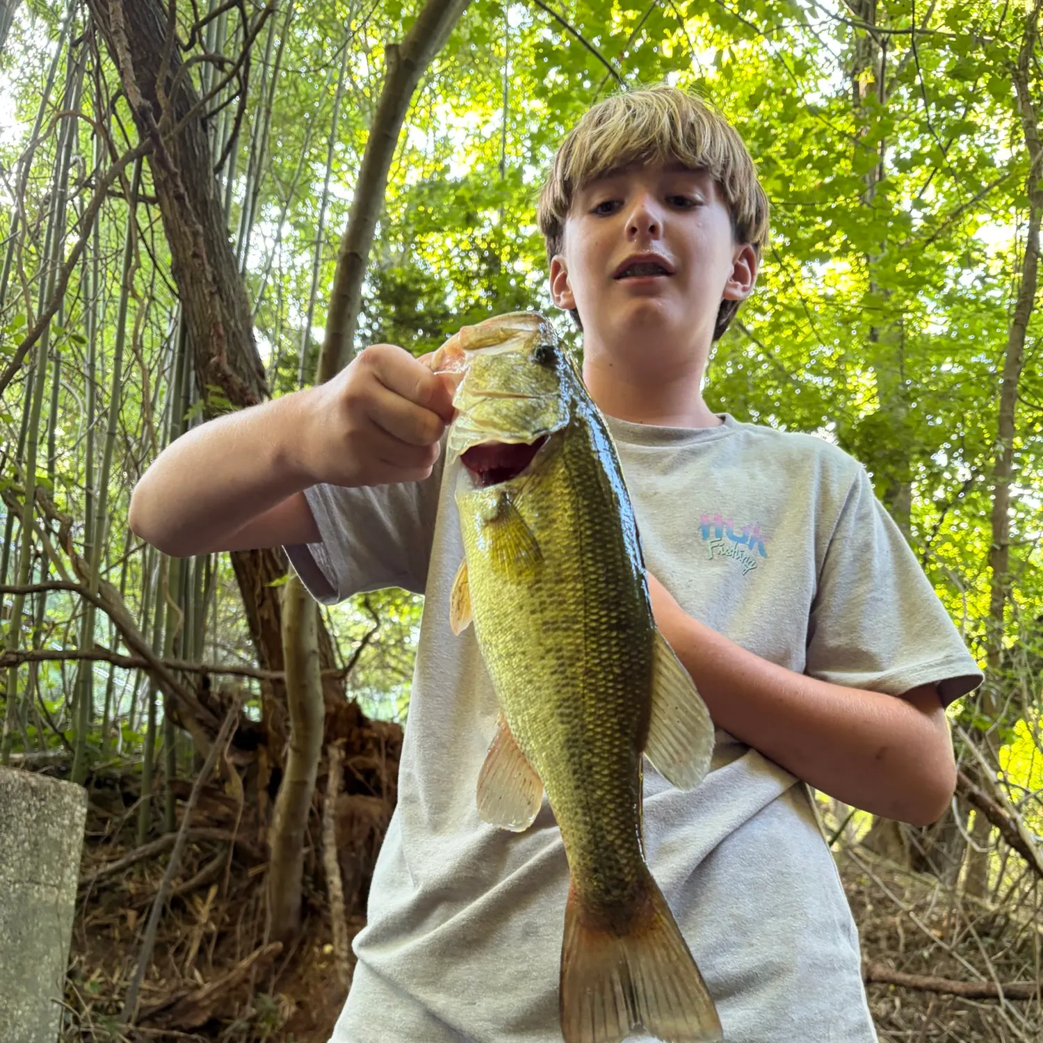 Largemouth bass caught on Fishbrain