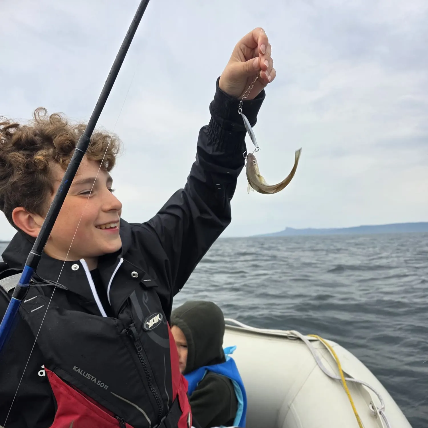 Pollack caught on Fishbrain