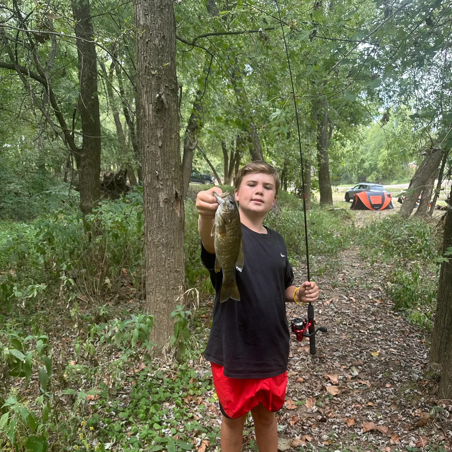 Smallmouth bass caught on Fishbrain
