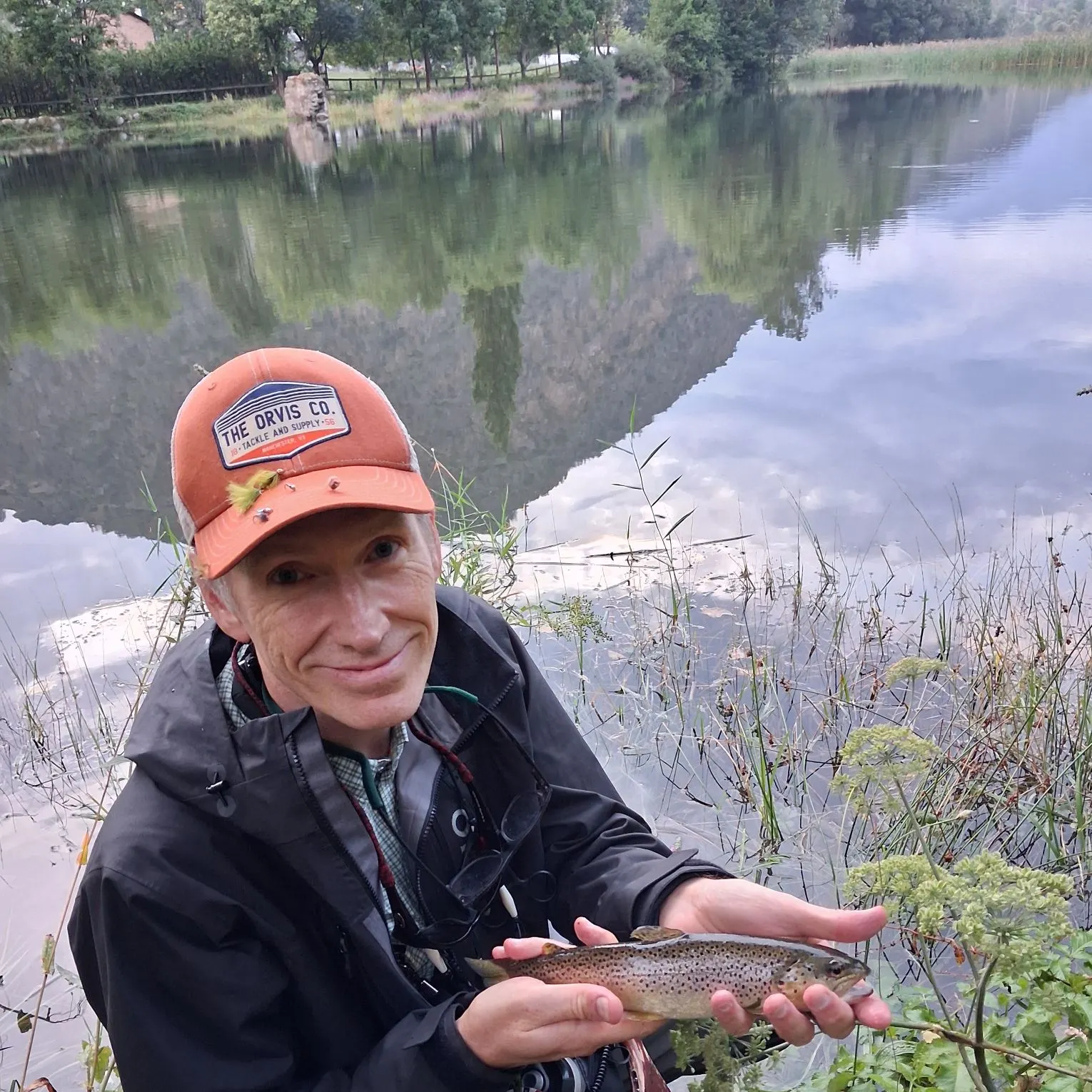Brown trout caught on Fishbrain